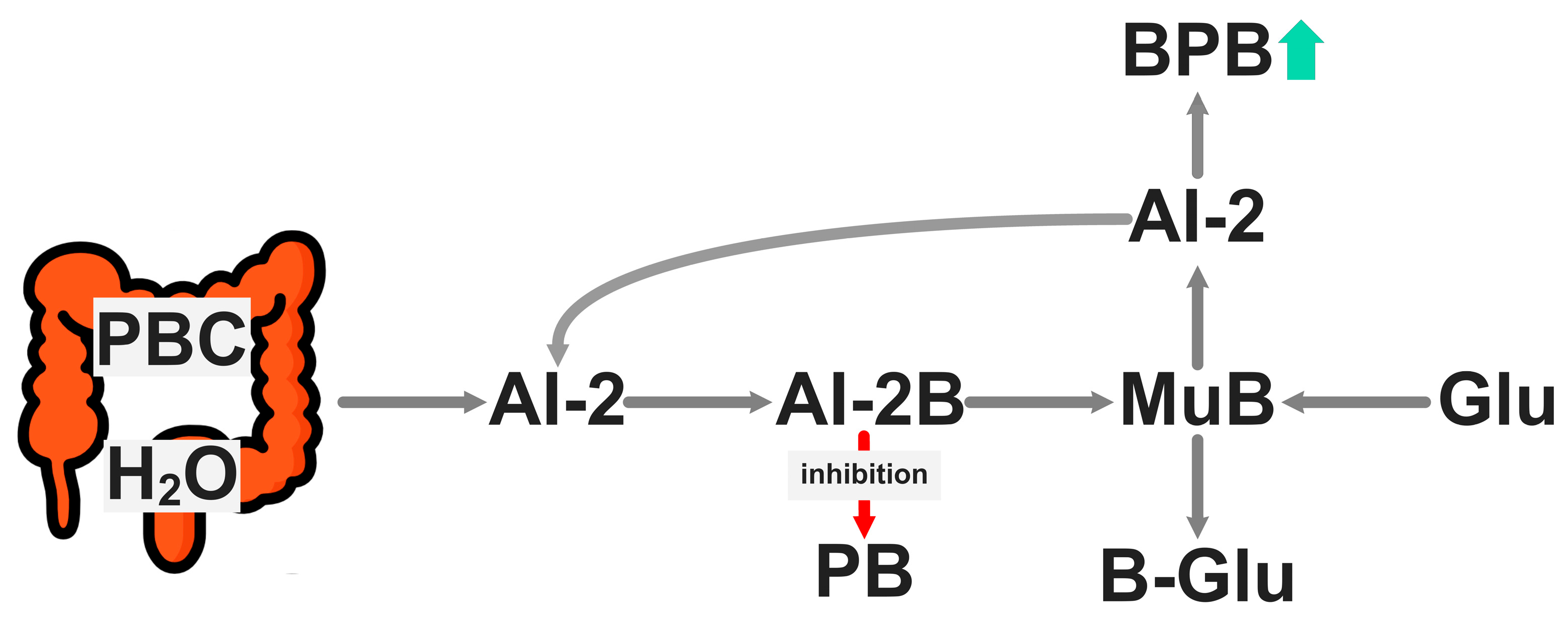 Pharmaceuticals 18 00766 g002 Pharmaceuticals 18 00766 g002