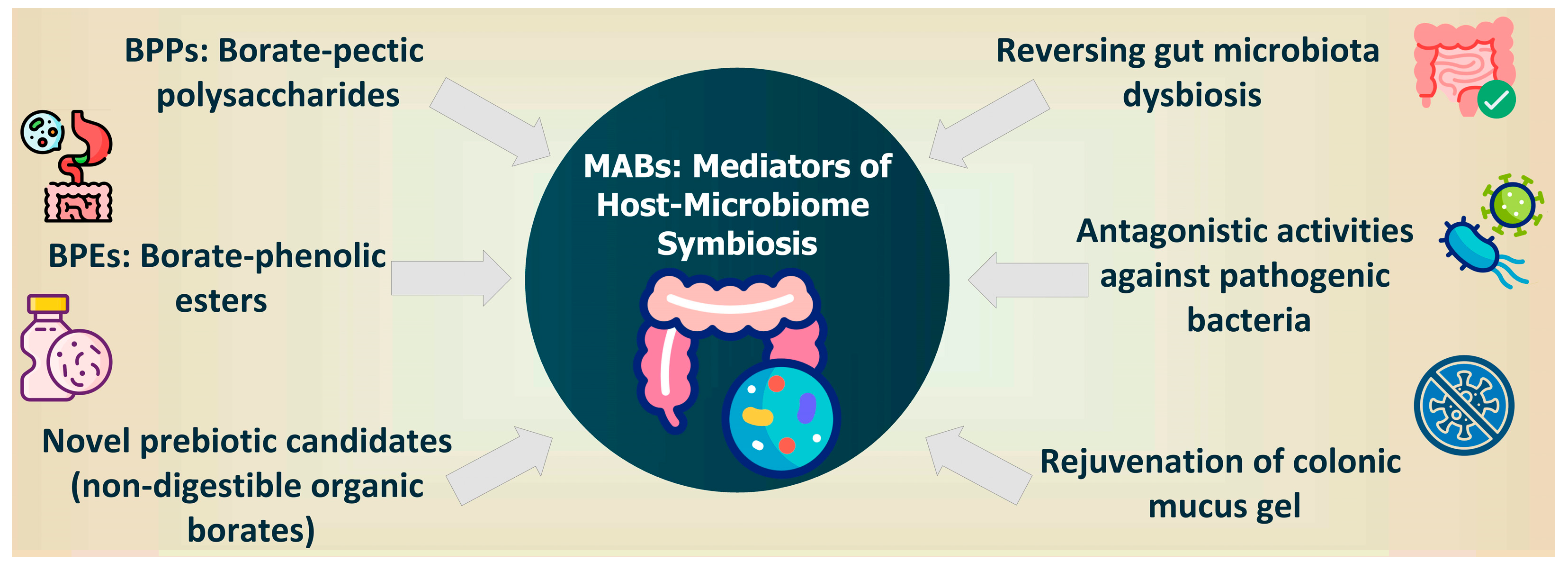 Pharmaceuticals 18 00766 g003 Pharmaceuticals 18 00766 g003