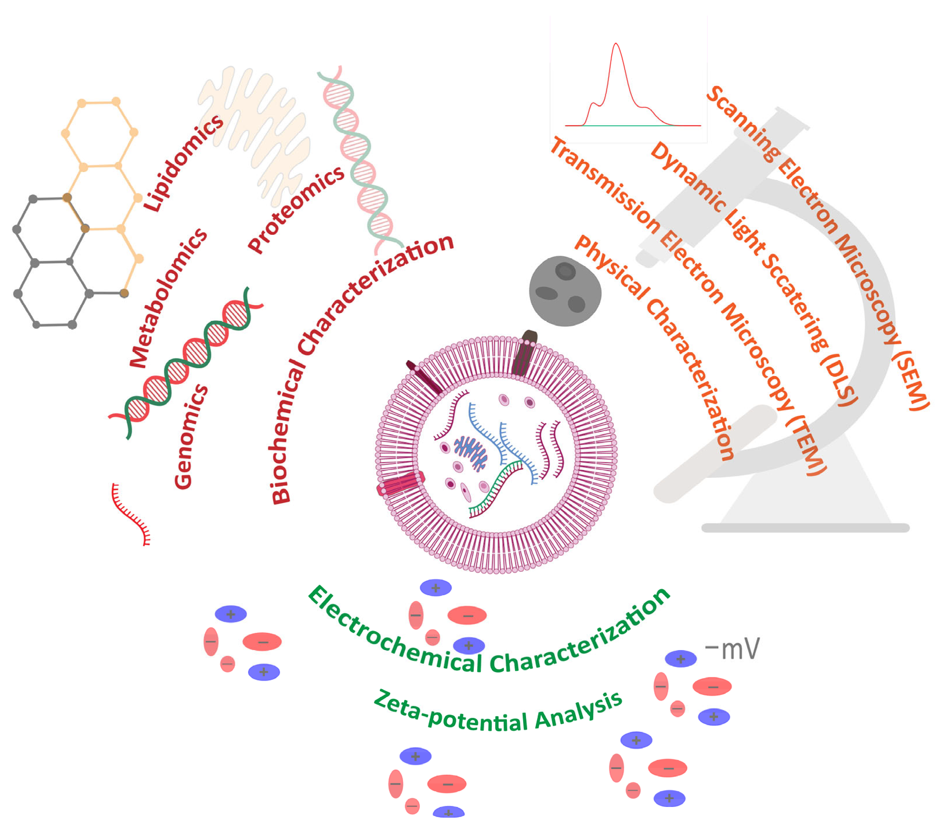 Pharmaceuticals 18 01005 g001