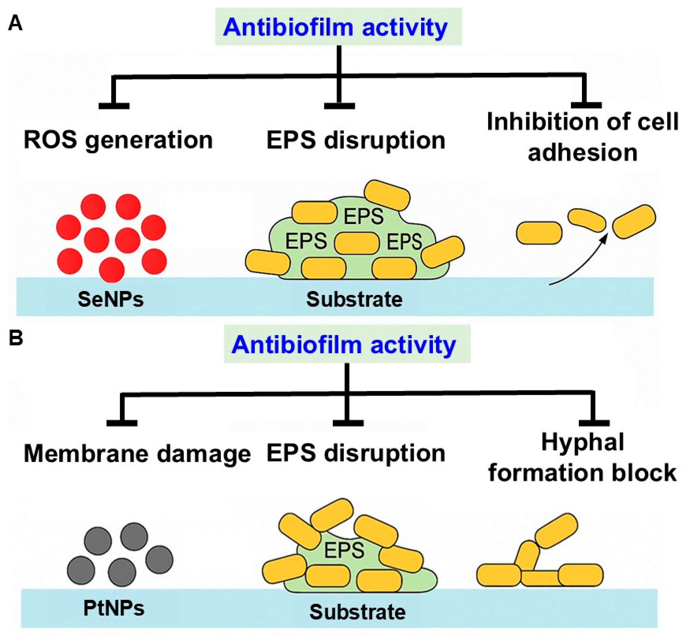 Pharmaceuticals 18 01006 g005
