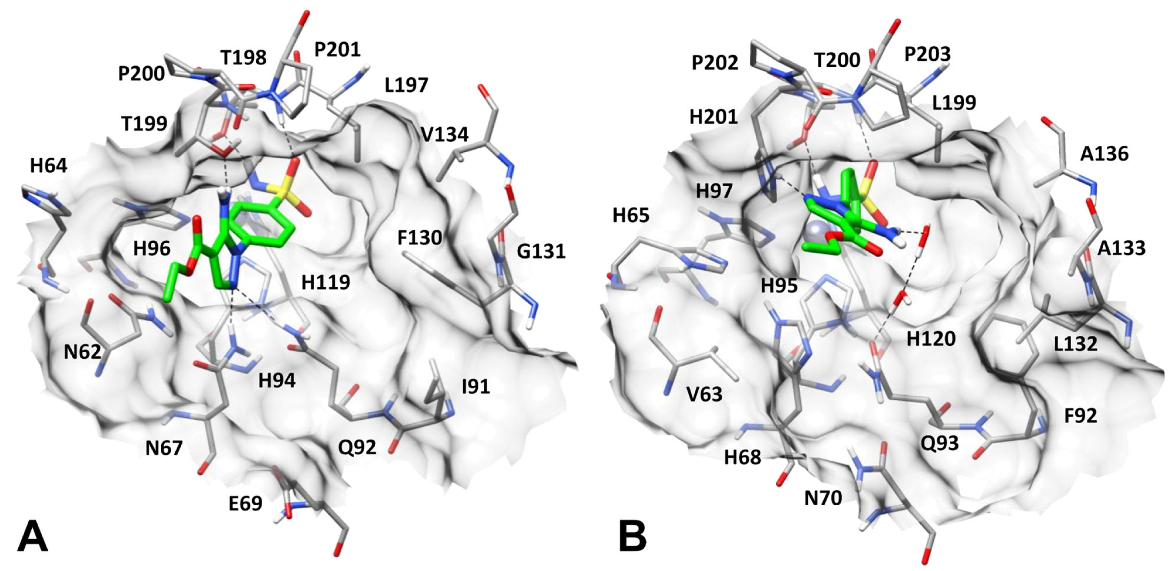 Pharmaceuticals 18 01007 g002