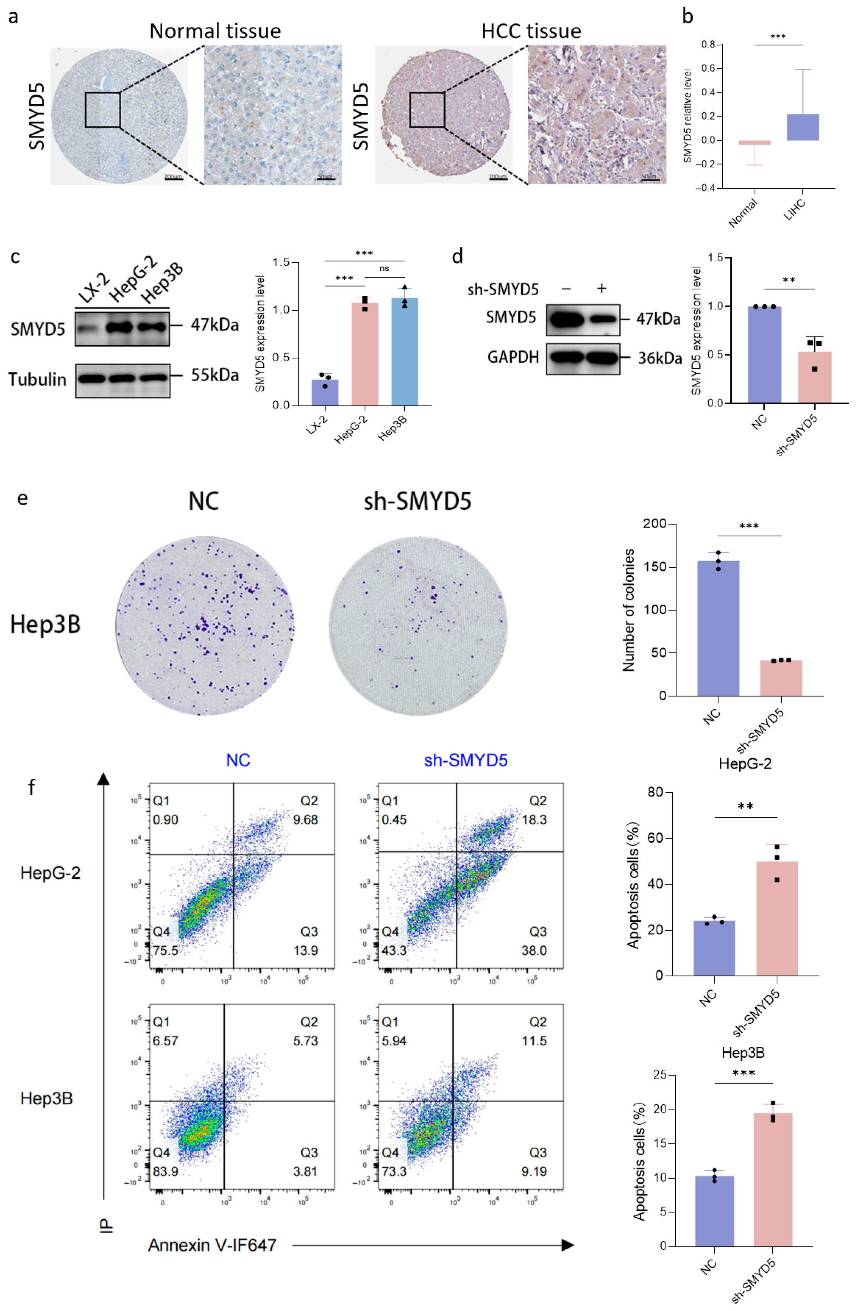 Pharmaceuticals 18 01105 g003