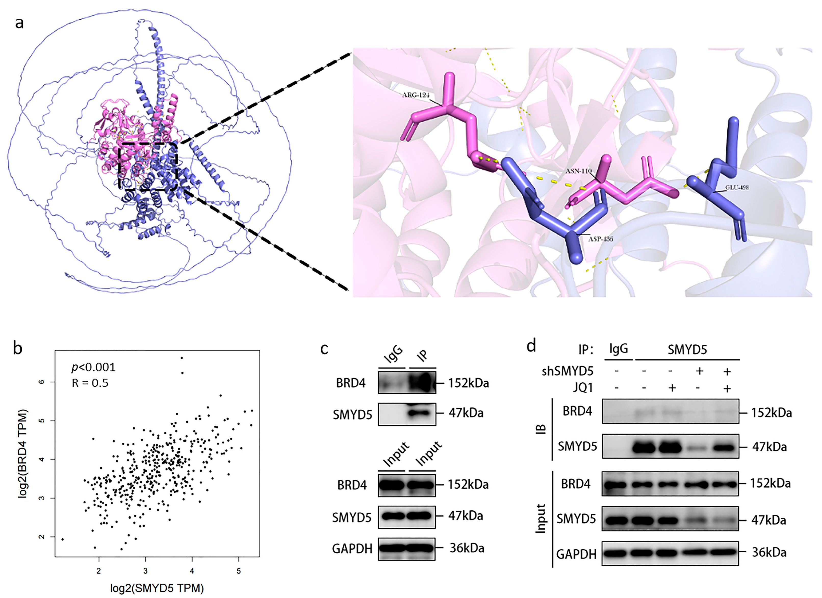 Pharmaceuticals 18 01105 g004