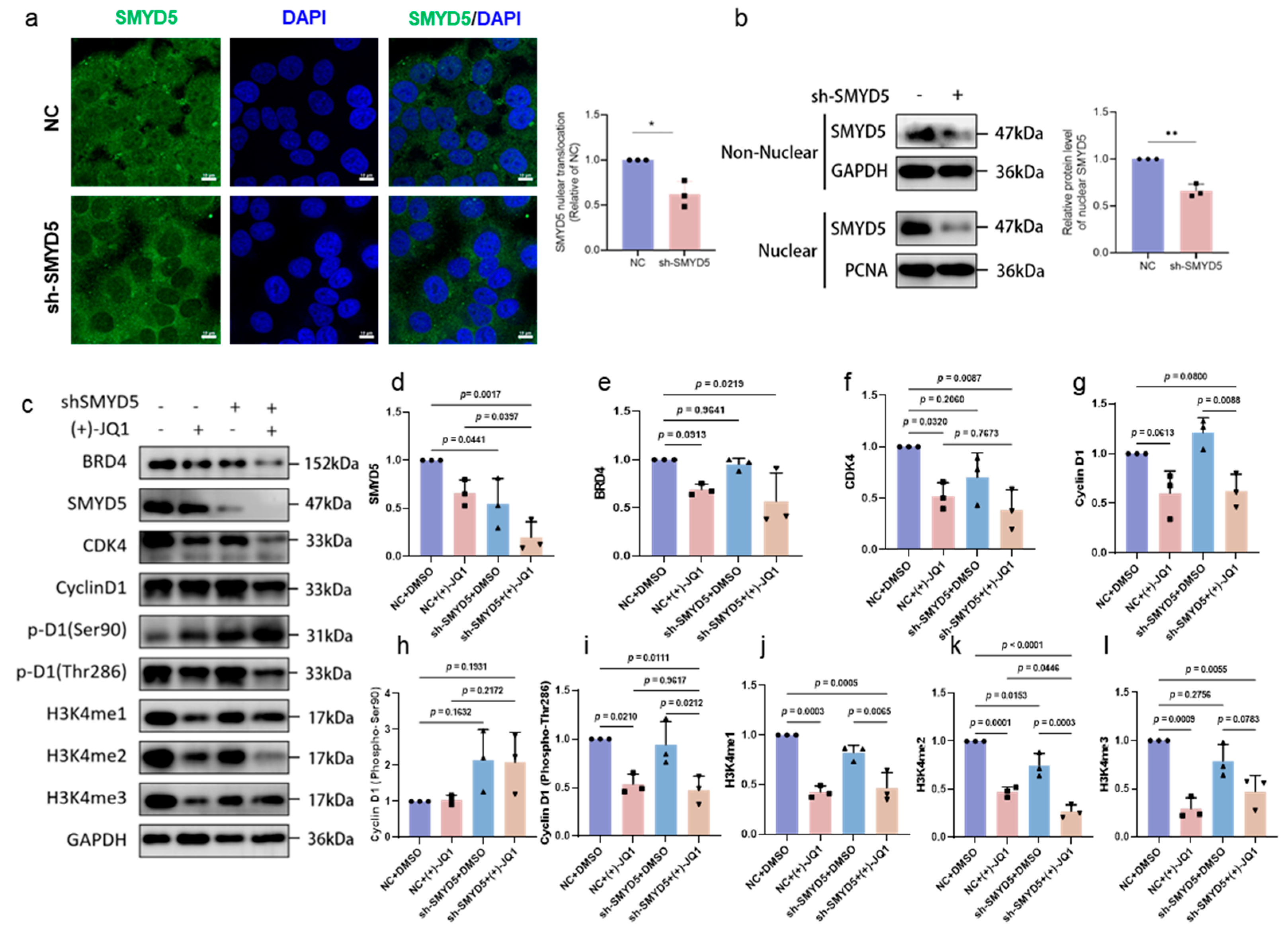 Pharmaceuticals 18 01105 g006
