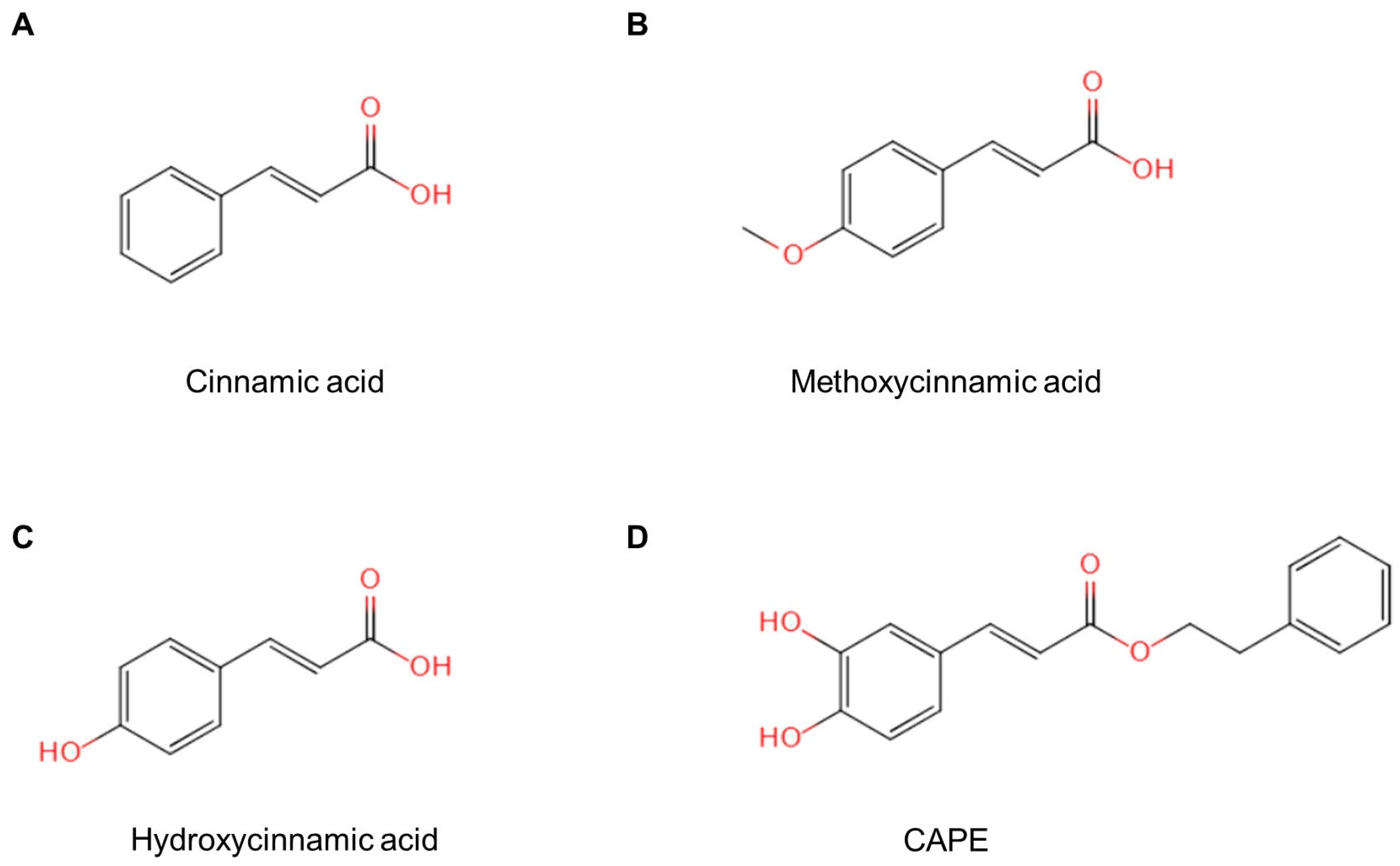 Pharmaceuticals 18 01141 g002 Pharmaceuticals 18 01141 g002