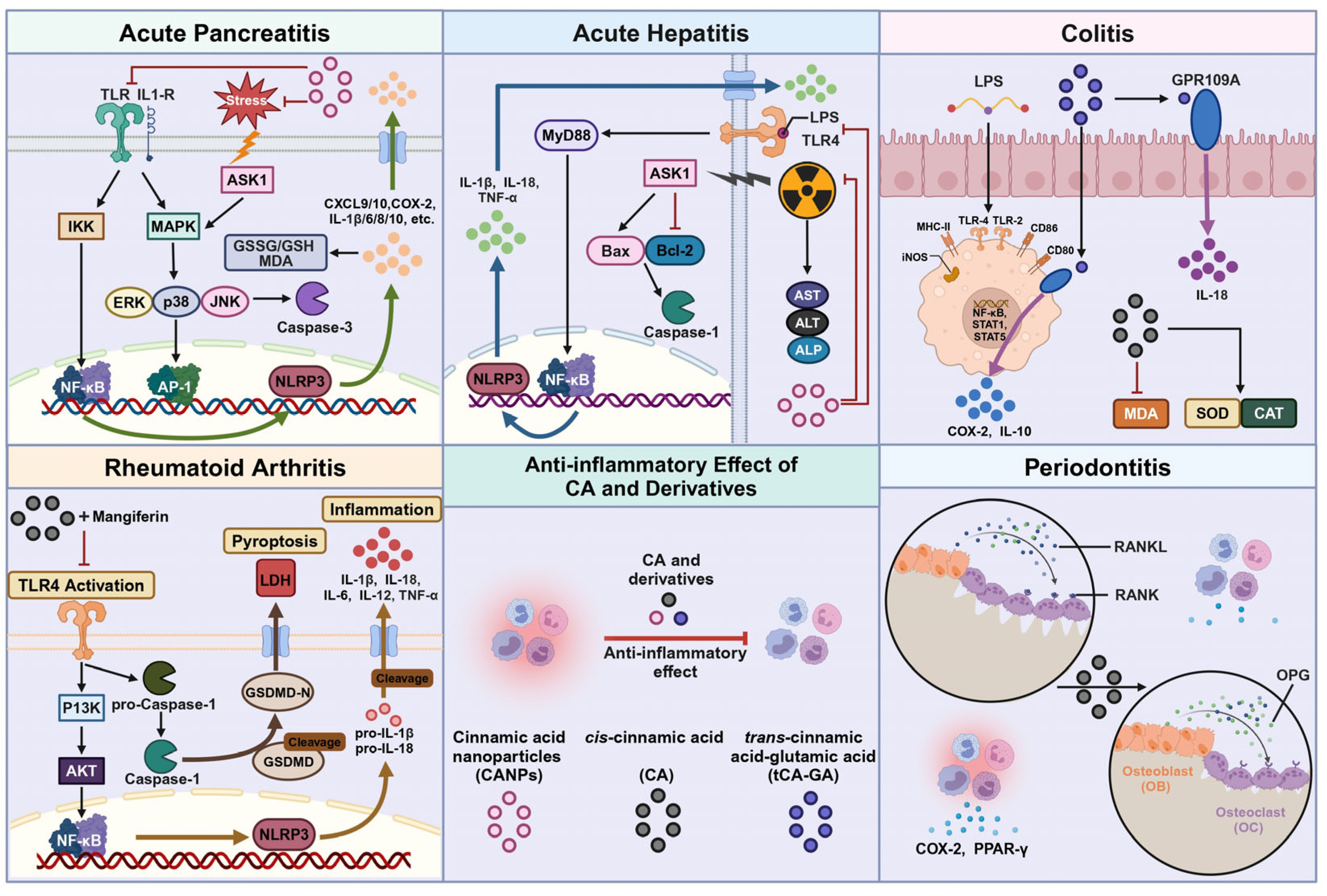 Pharmaceuticals 18 01141 g003 Pharmaceuticals 18 01141 g003