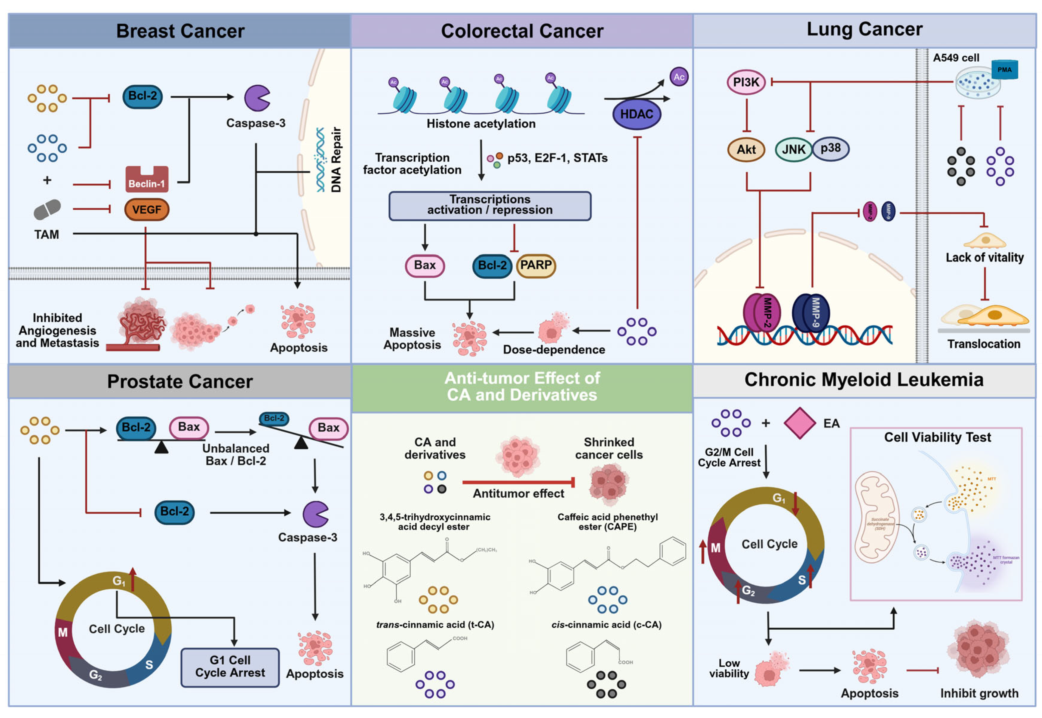 Pharmaceuticals 18 01141 g004 Pharmaceuticals 18 01141 g004