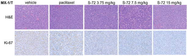 Pharmaceuticals 18 01355 i001 Pharmaceuticals 18 01355 i001