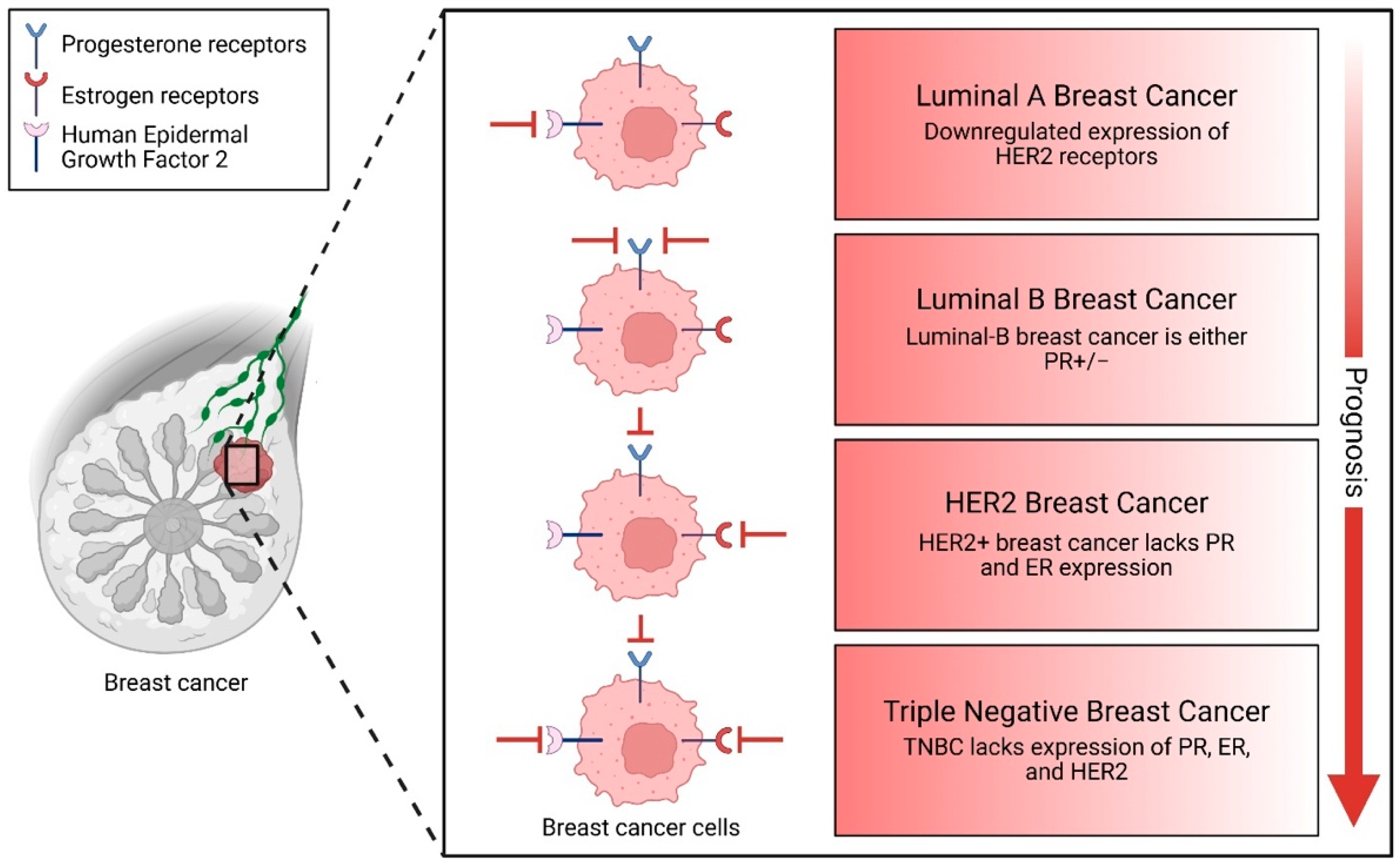 Pharmaceuticals 18 01370 g002 Pharmaceuticals 18 01370 g002