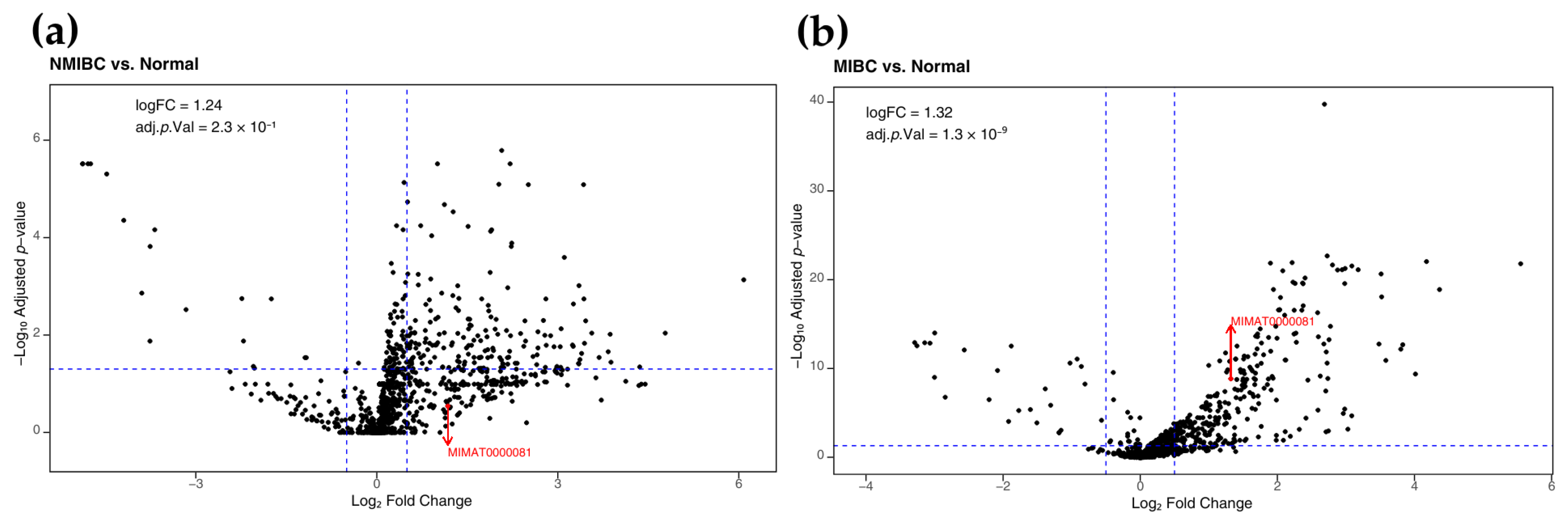 Pharmaceuticals 18 01382 g003 Pharmaceuticals 18 01382 g003