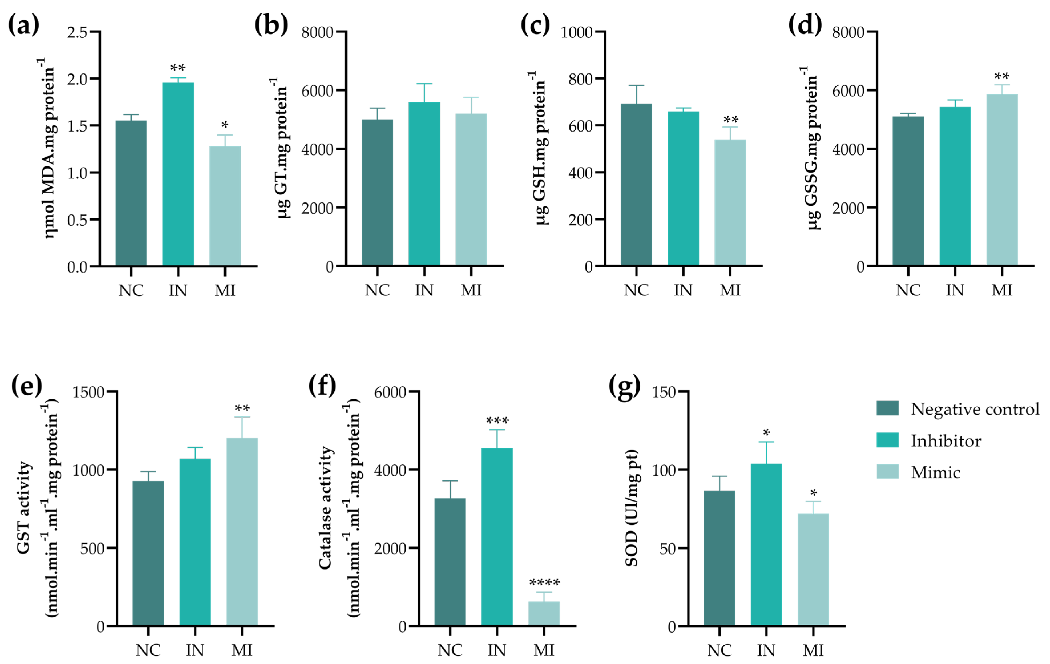 Pharmaceuticals 18 01382 g006 Pharmaceuticals 18 01382 g006