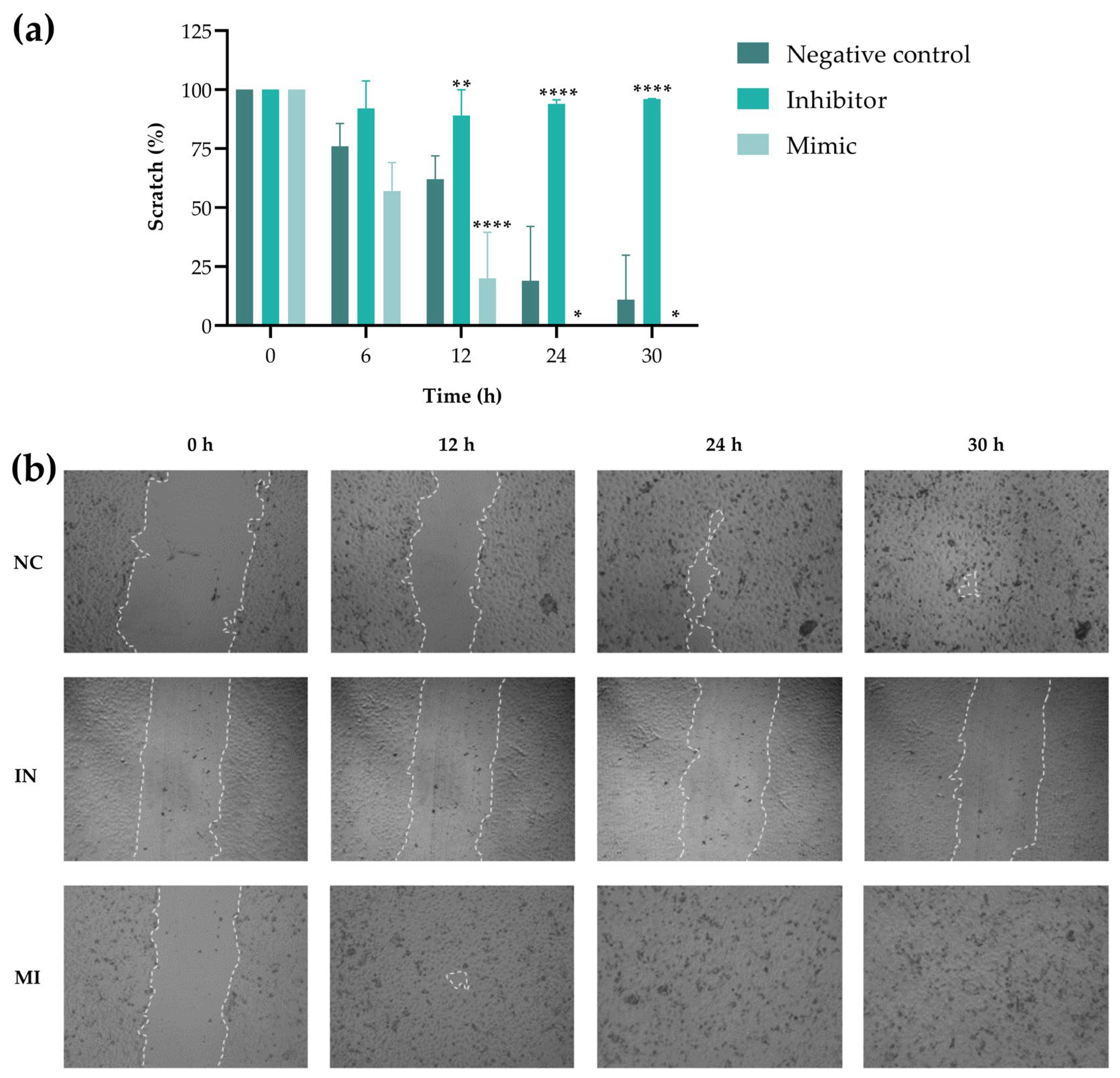 Pharmaceuticals 18 01382 g007 Pharmaceuticals 18 01382 g007