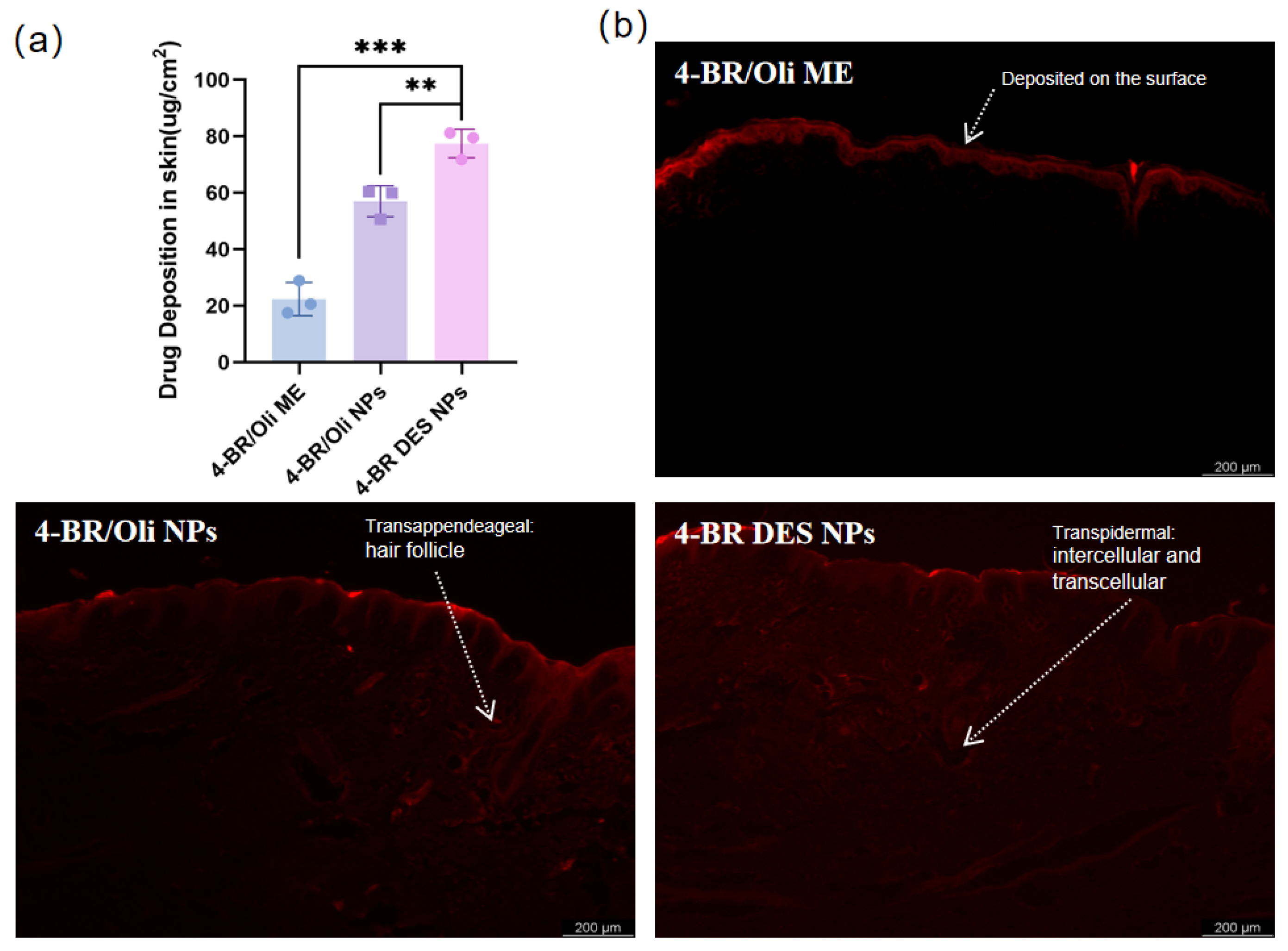 Pharmaceuticals 18 01383 g005 Pharmaceuticals 18 01383 g005