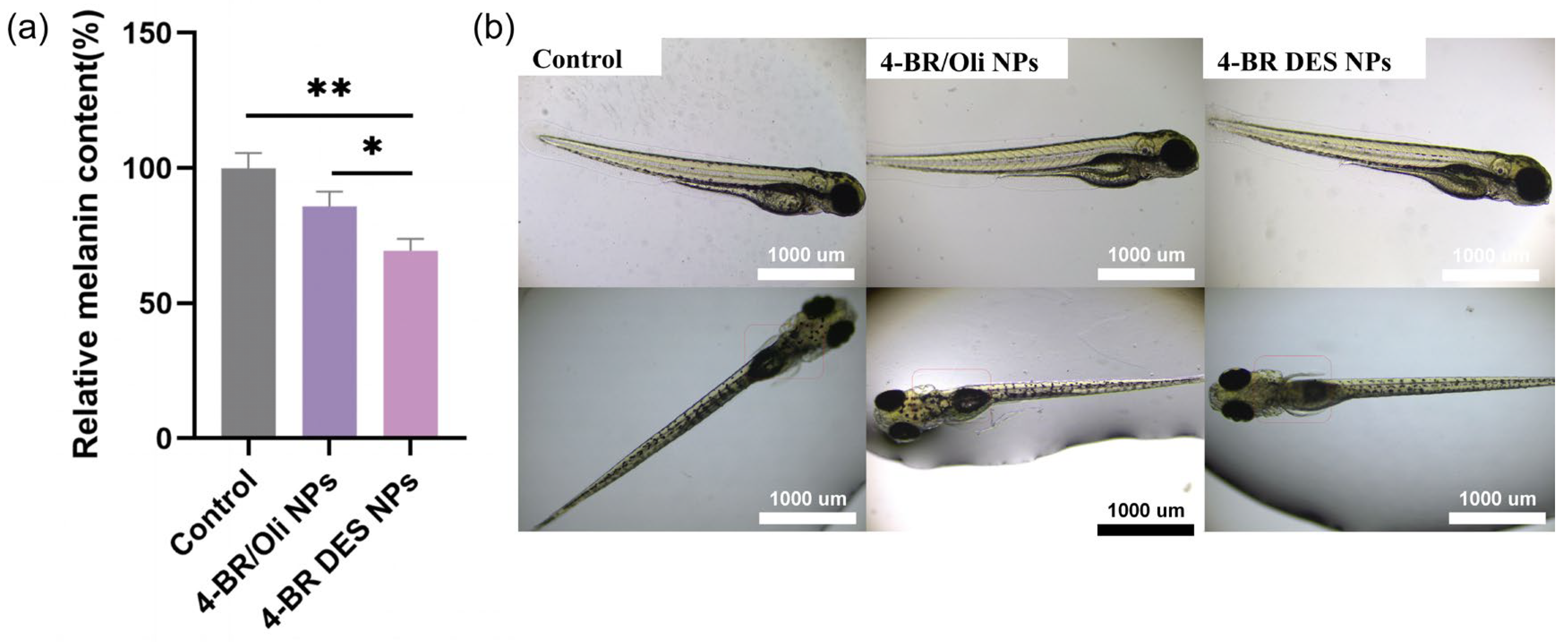 Pharmaceuticals 18 01383 g007 Pharmaceuticals 18 01383 g007