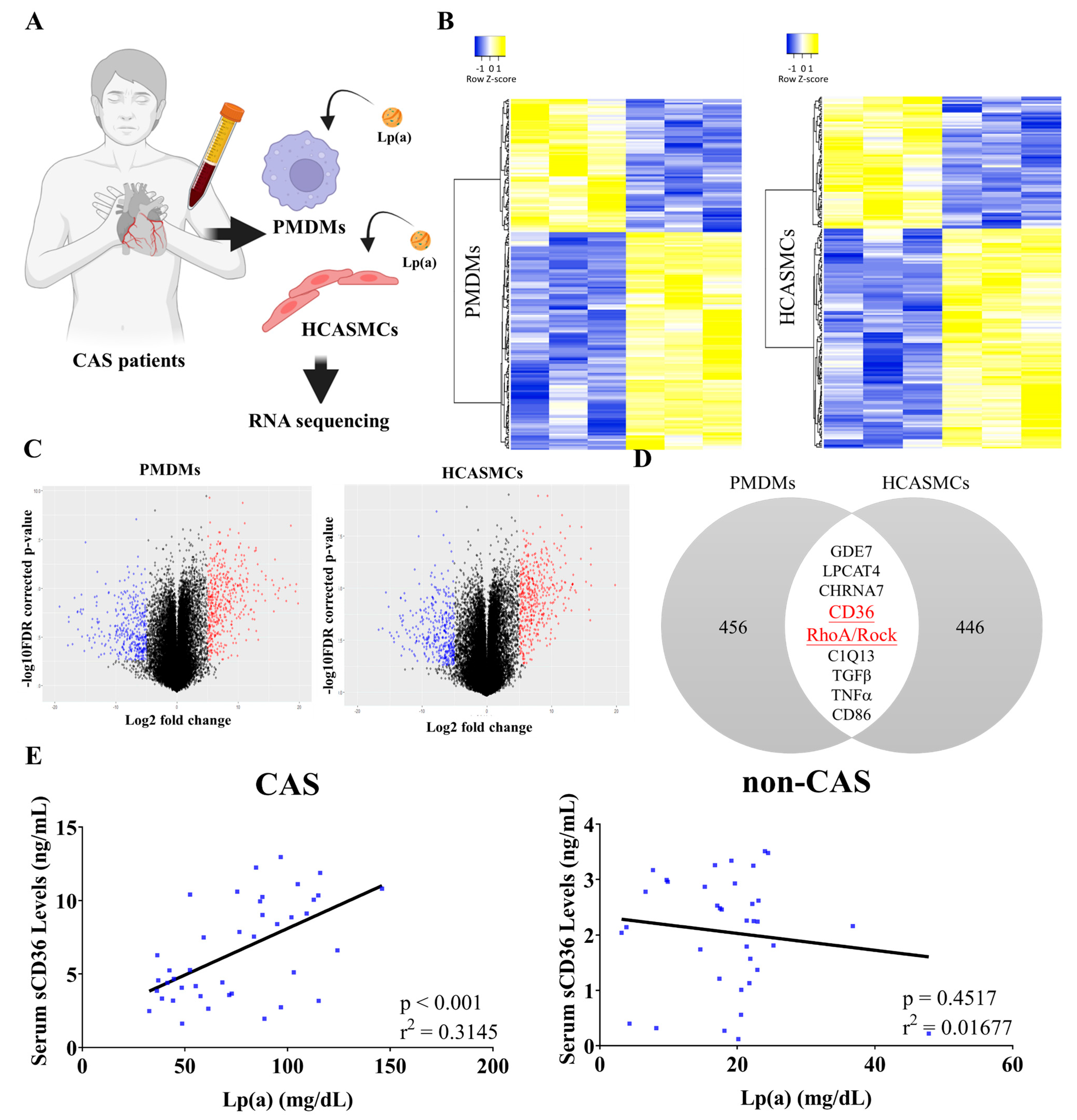 Pharmaceuticals 18 01384 g002 Pharmaceuticals 18 01384 g002