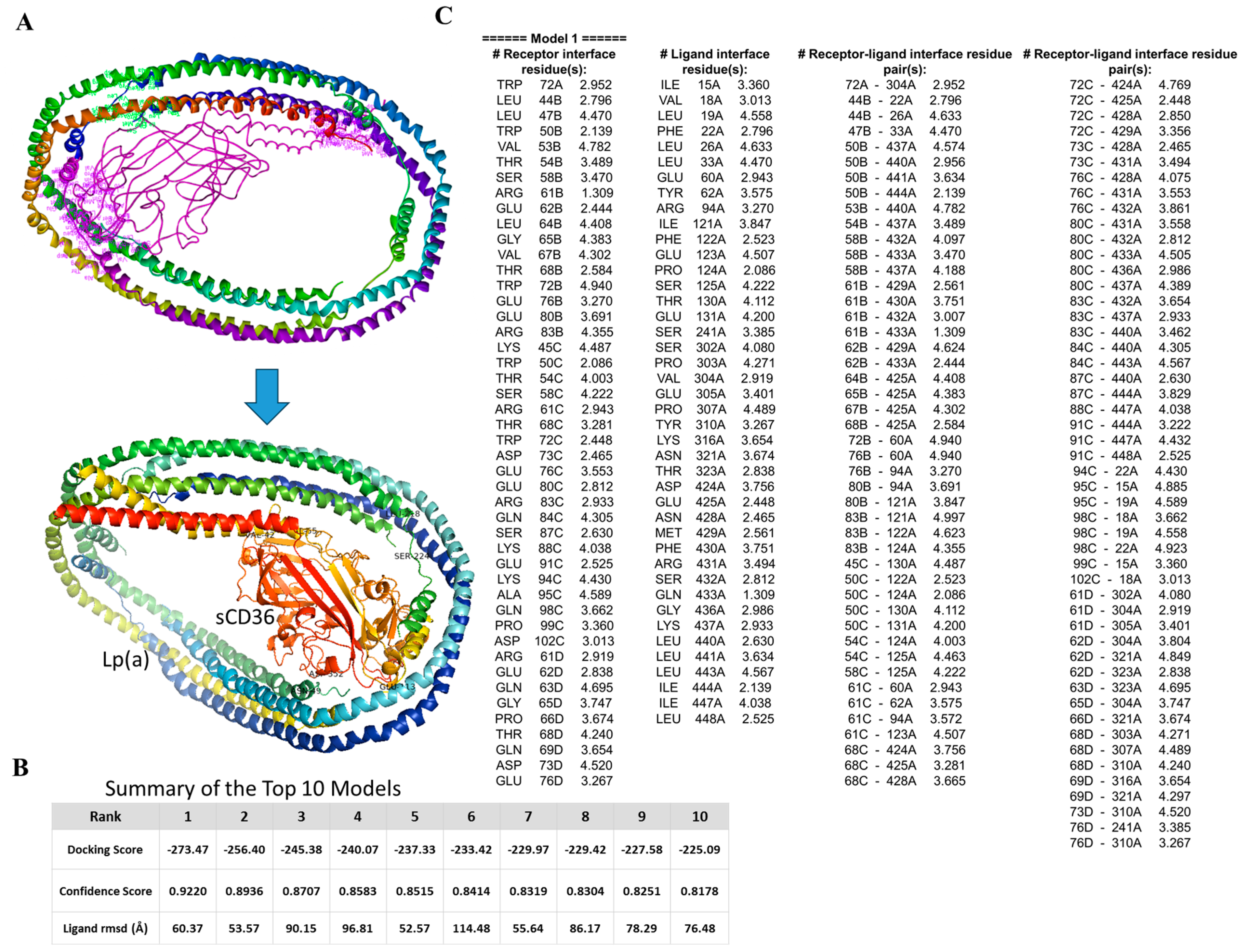 Pharmaceuticals 18 01384 g004 Pharmaceuticals 18 01384 g004