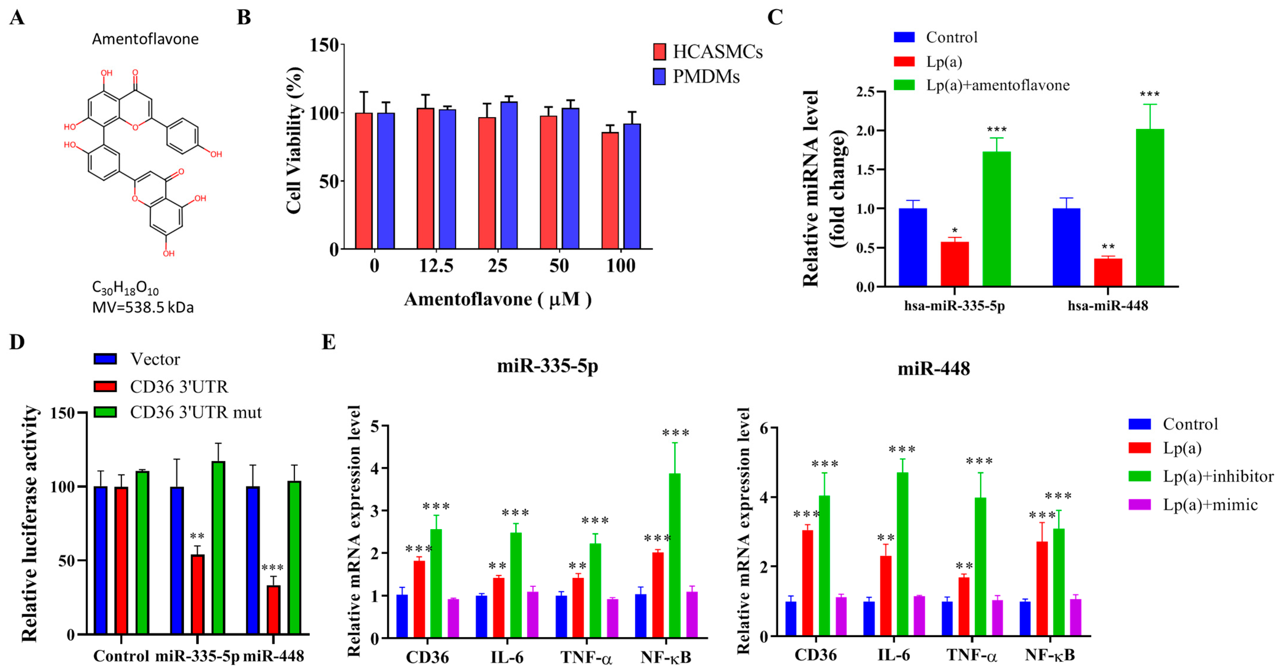 Pharmaceuticals 18 01384 g006 Pharmaceuticals 18 01384 g006