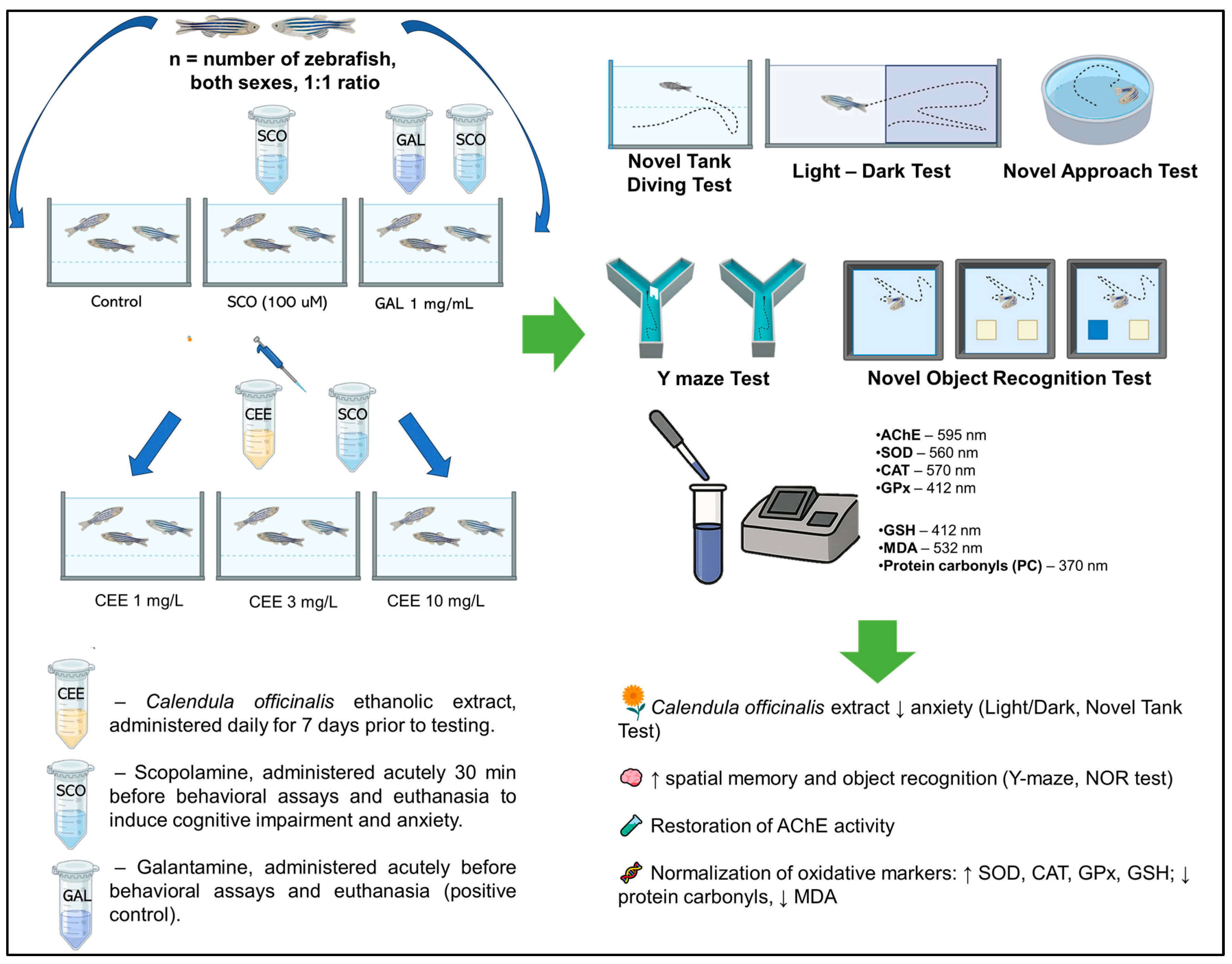 Pharmaceuticals 18 01483 g008 Pharmaceuticals 18 01483 g008