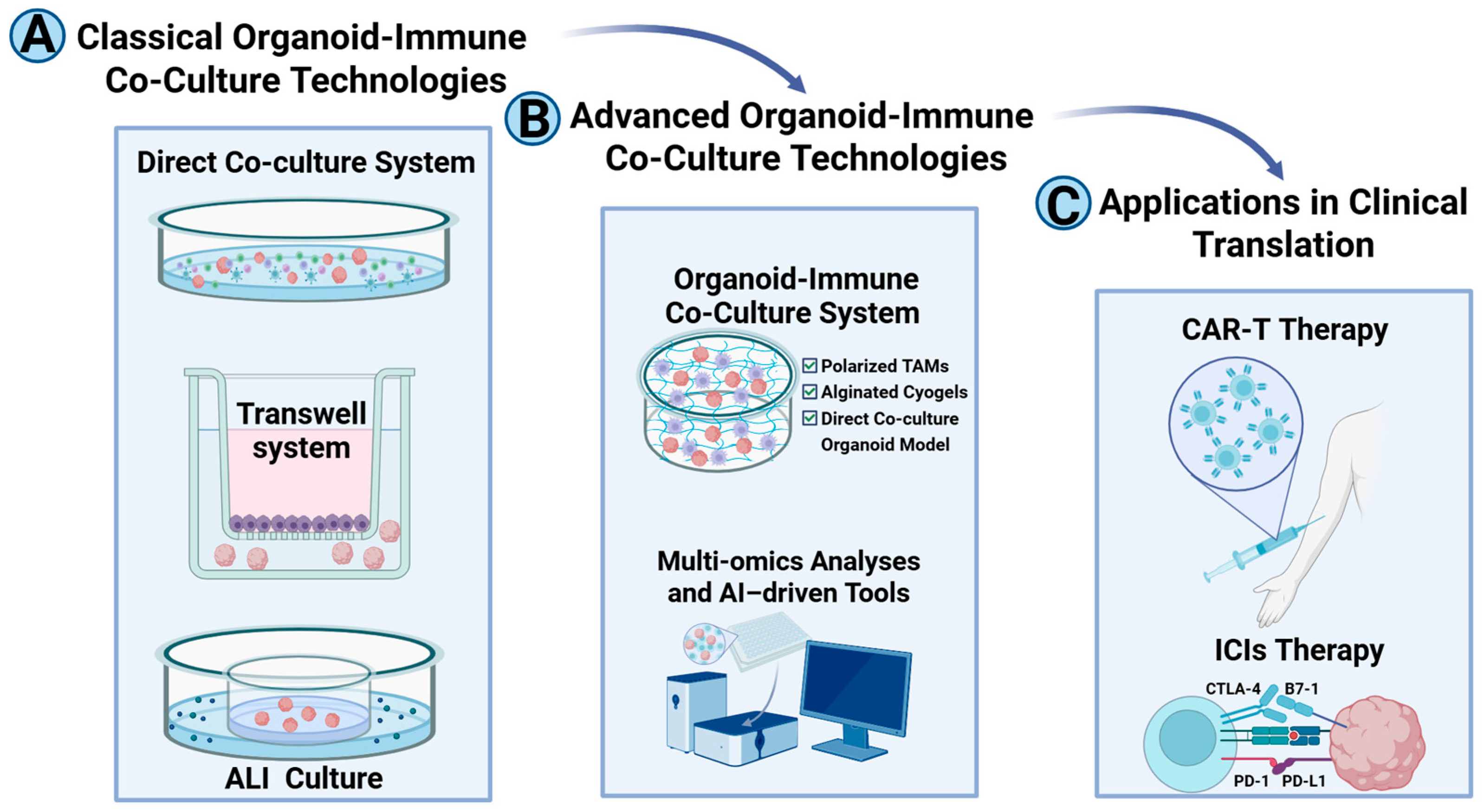 Pharmaceuticals 18 01540 g001 Pharmaceuticals 18 01540 g001