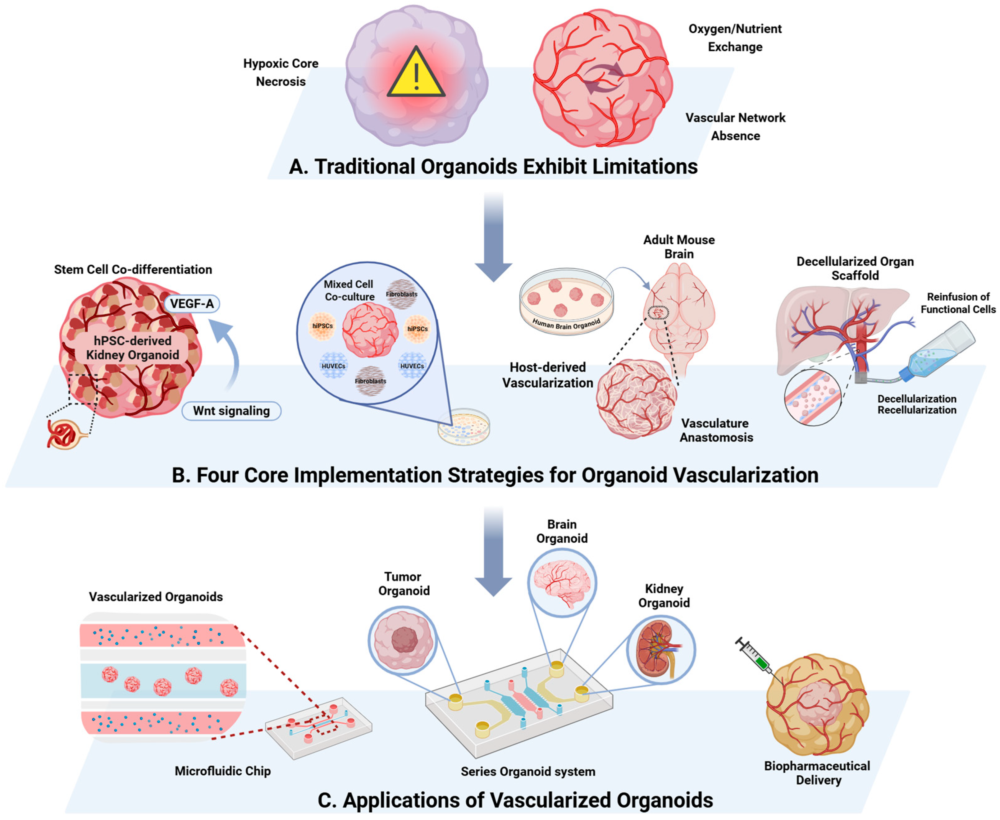 Pharmaceuticals 18 01540 g002 Pharmaceuticals 18 01540 g002