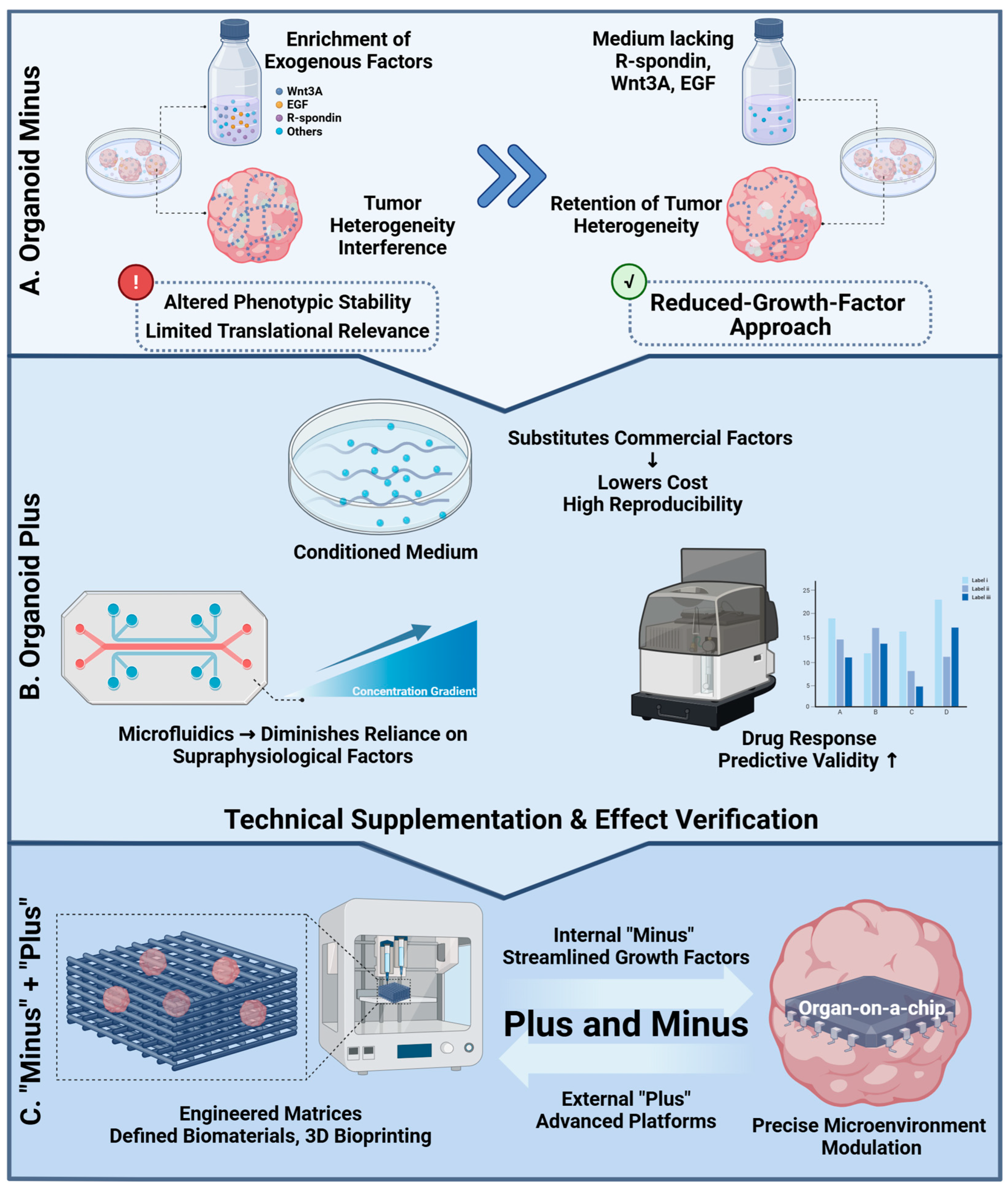Pharmaceuticals 18 01540 g003 Pharmaceuticals 18 01540 g003