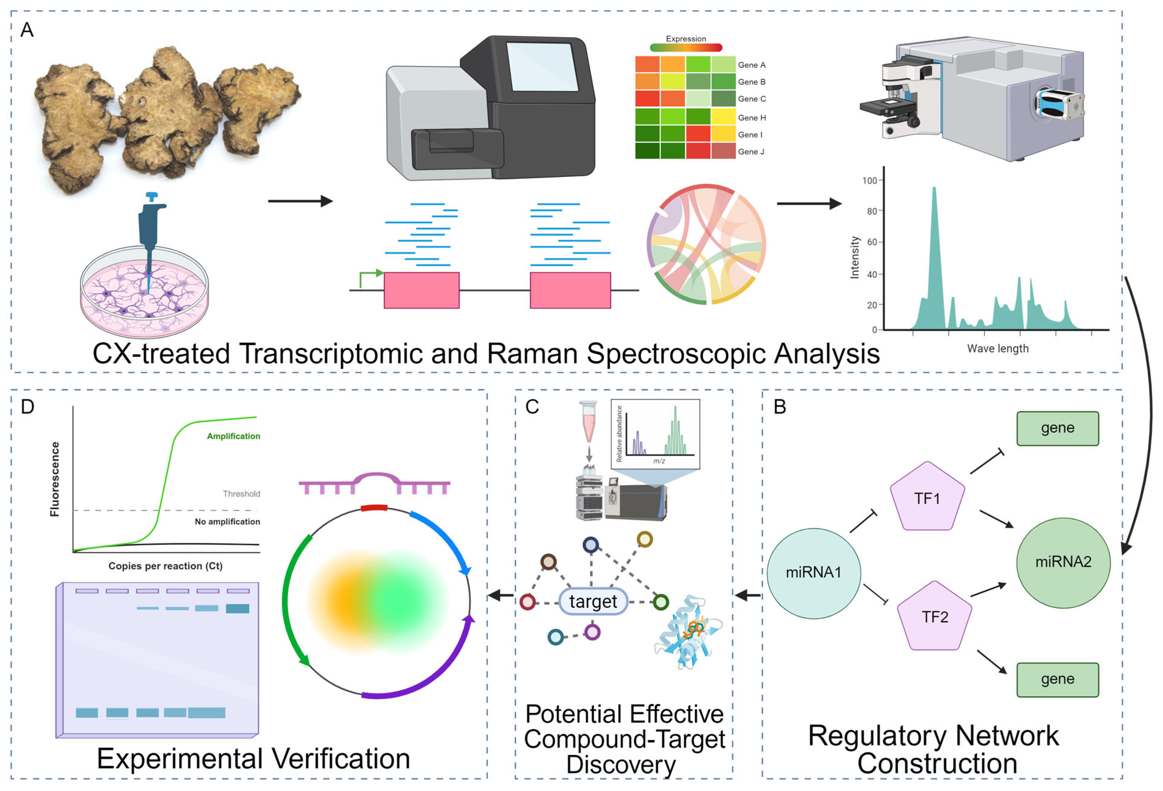 Pharmaceuticals 18 01553 g001 Pharmaceuticals 18 01553 g001
