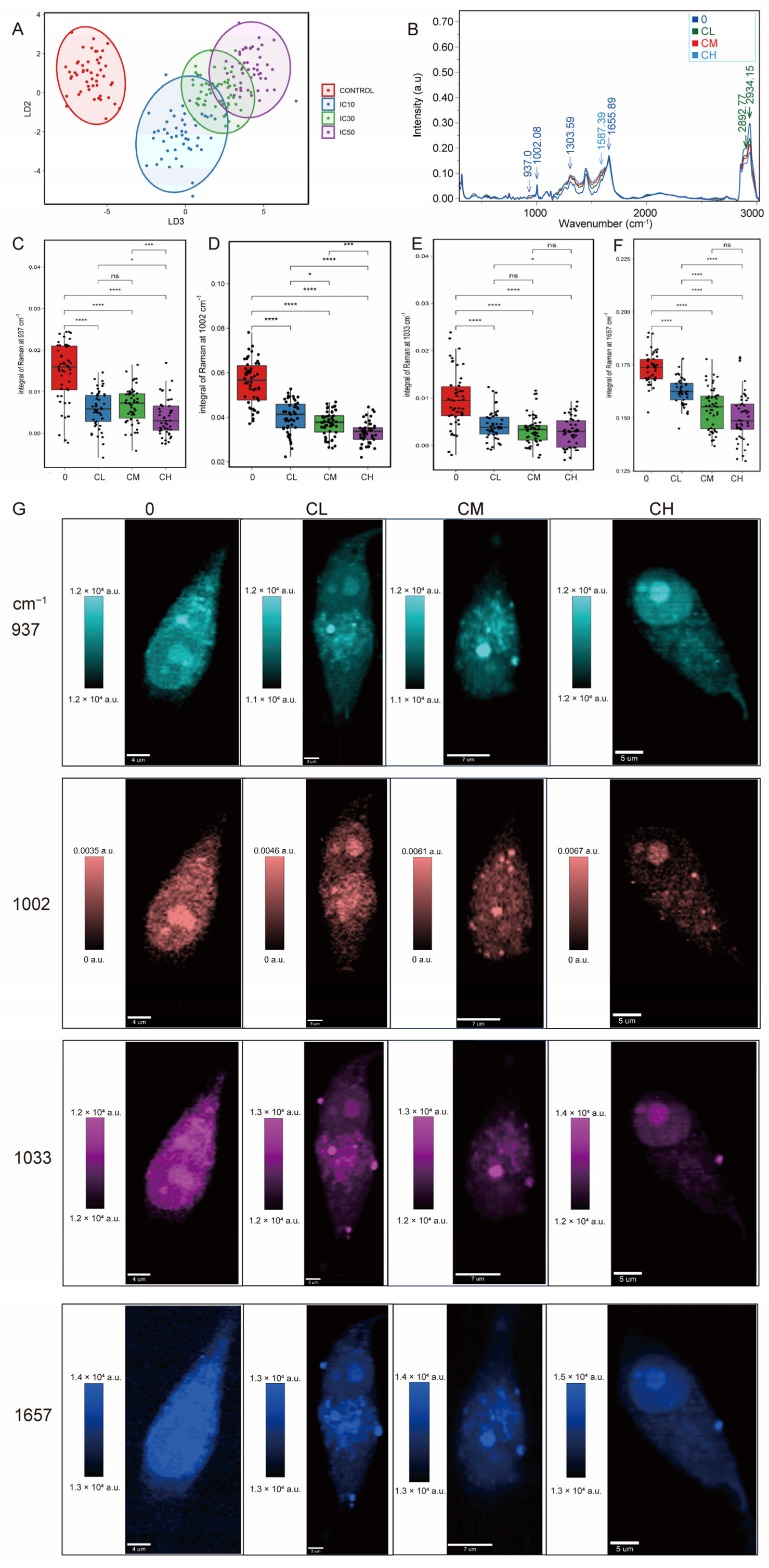 Pharmaceuticals 18 01553 g003 Pharmaceuticals 18 01553 g003