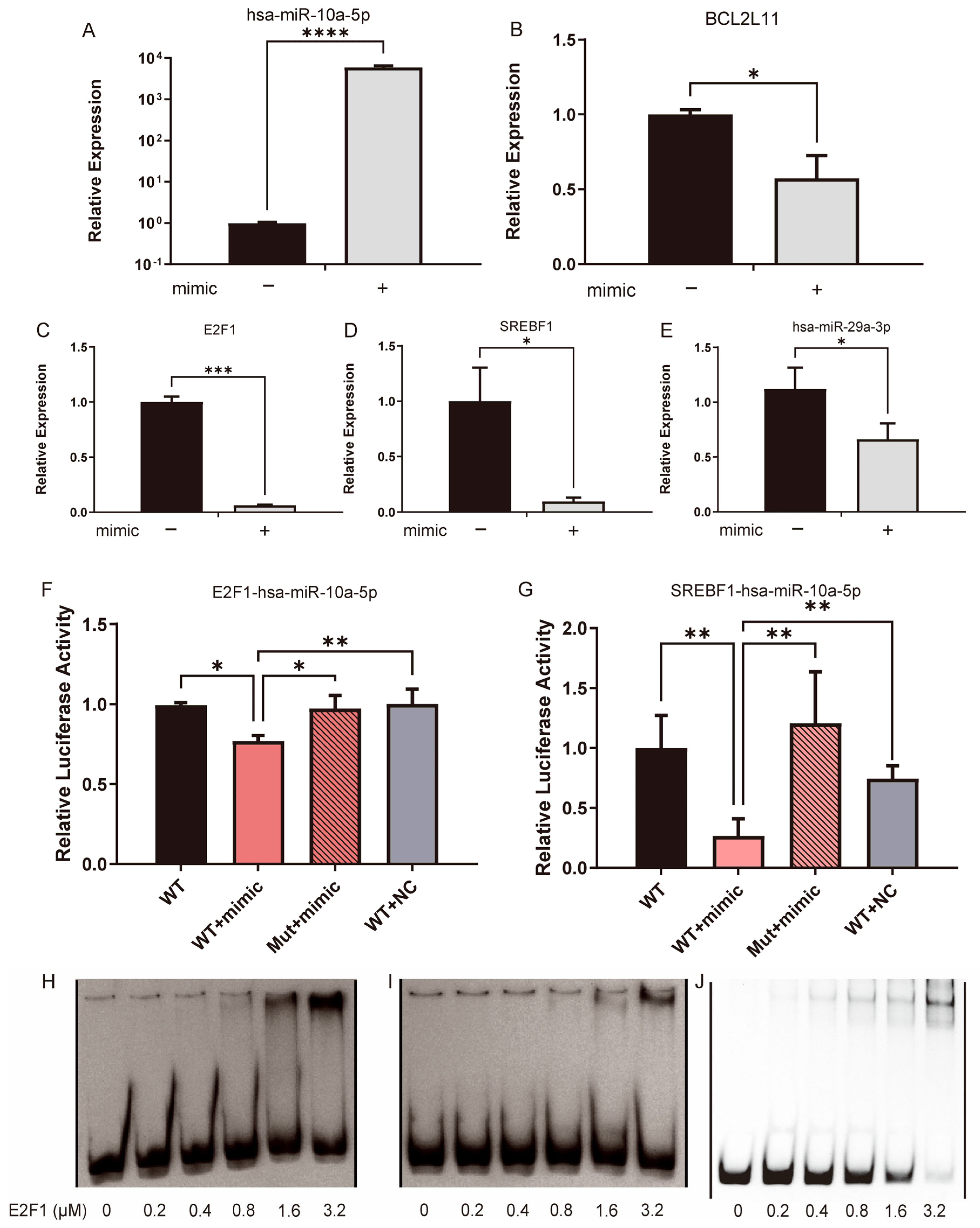 Pharmaceuticals 18 01553 g007 Pharmaceuticals 18 01553 g007