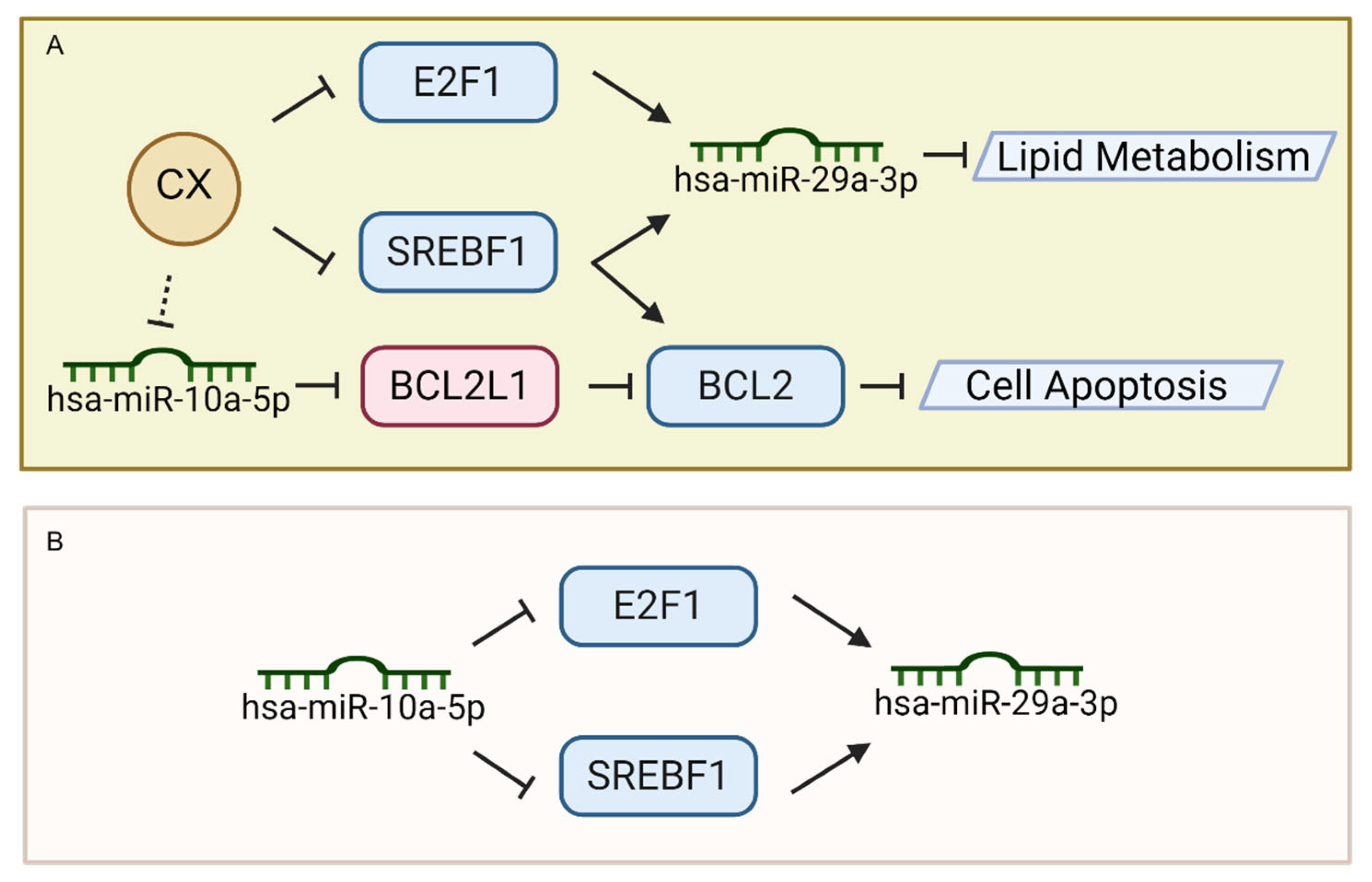 Pharmaceuticals 18 01553 g008 Pharmaceuticals 18 01553 g008