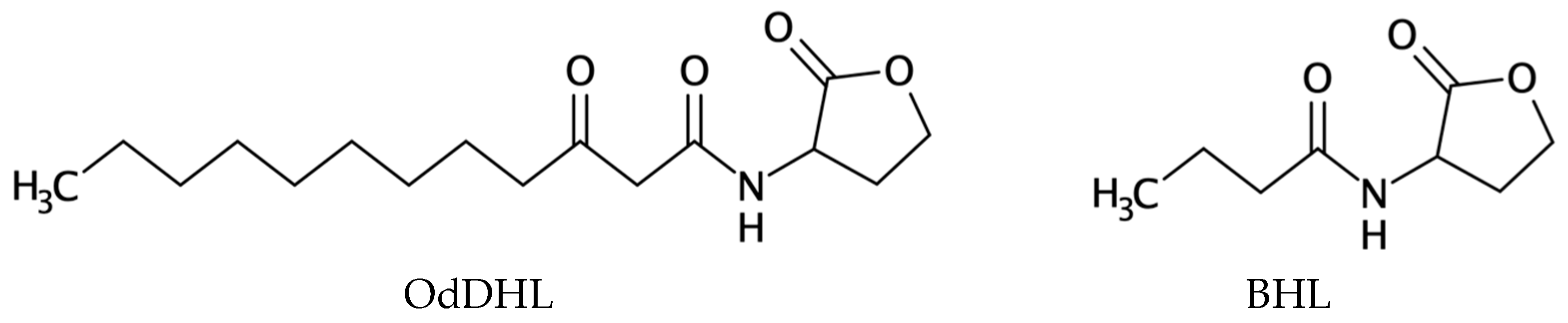 Pharmaceuticals 18 01572 g001 Pharmaceuticals 18 01572 g001