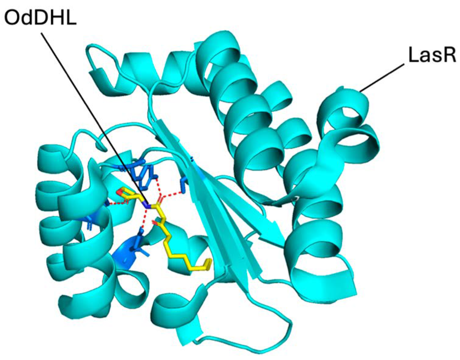 Pharmaceuticals 18 01572 g002 Pharmaceuticals 18 01572 g002