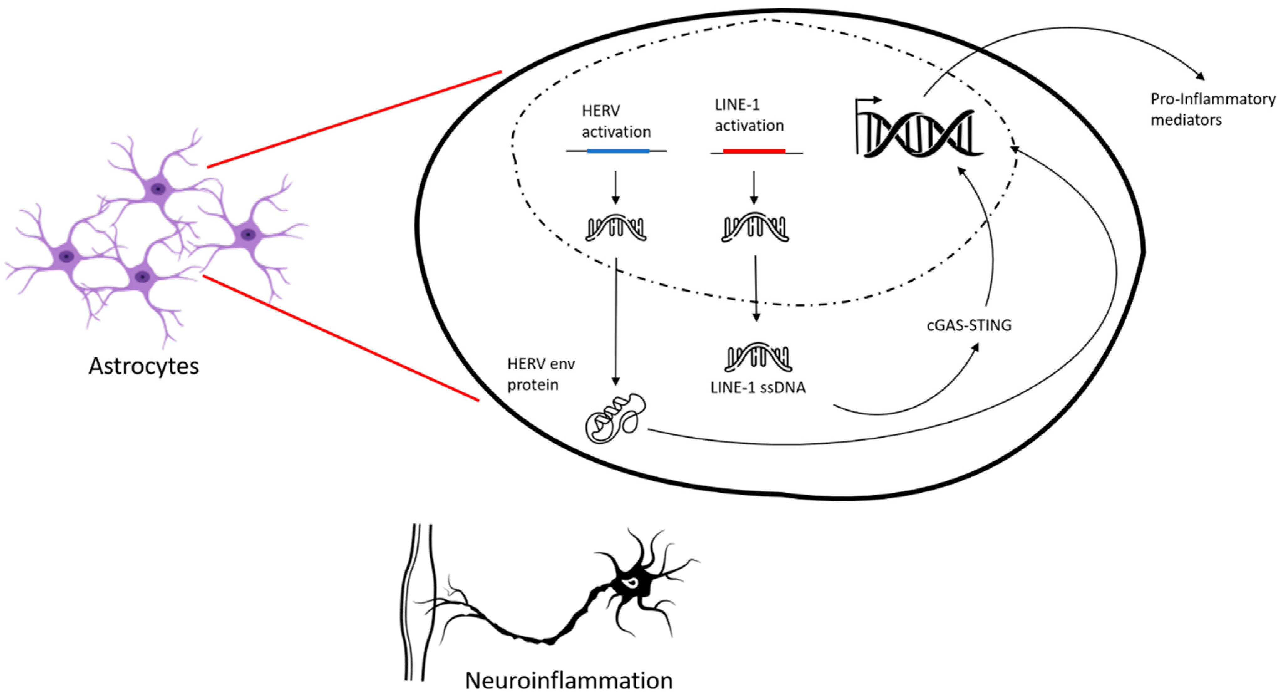 Pharmaceuticals 18 01573 g002 Pharmaceuticals 18 01573 g002