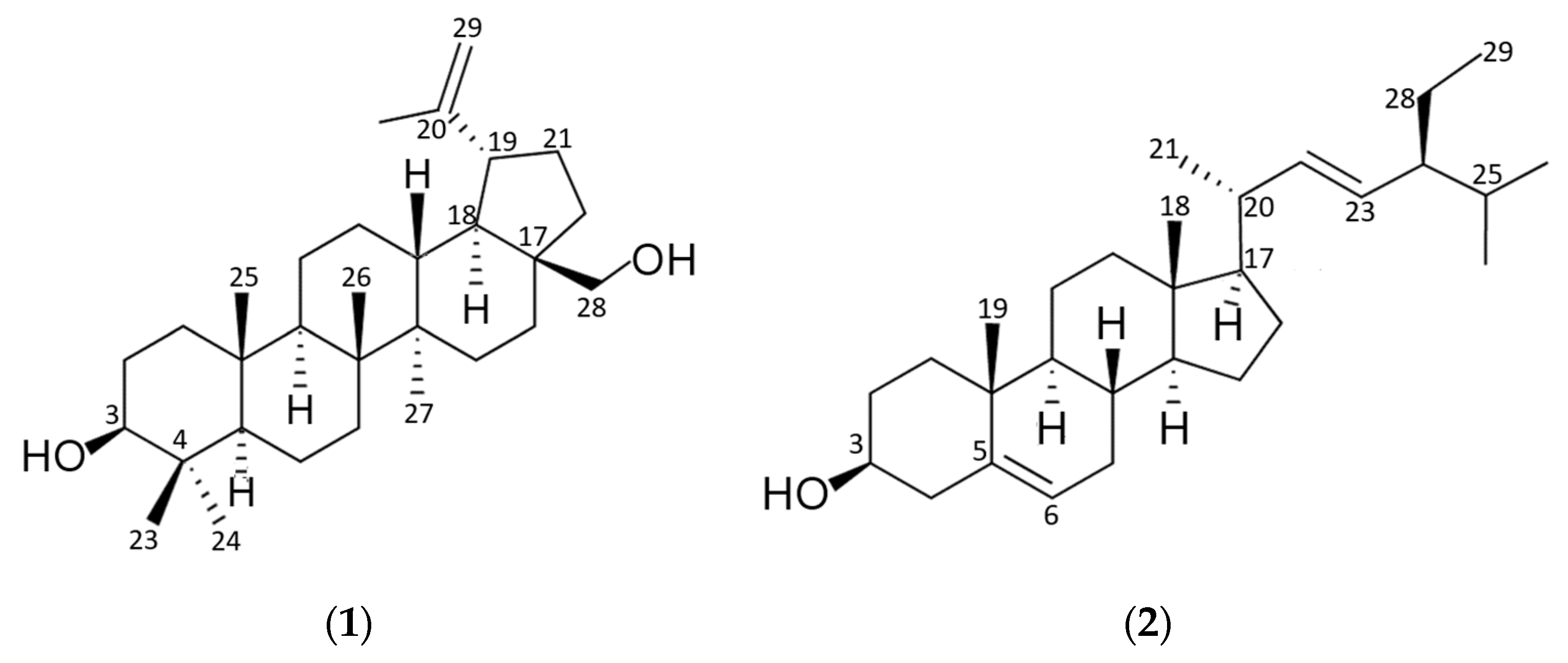 Pharmaceuticals 18 01587 g002 Pharmaceuticals 18 01587 g002