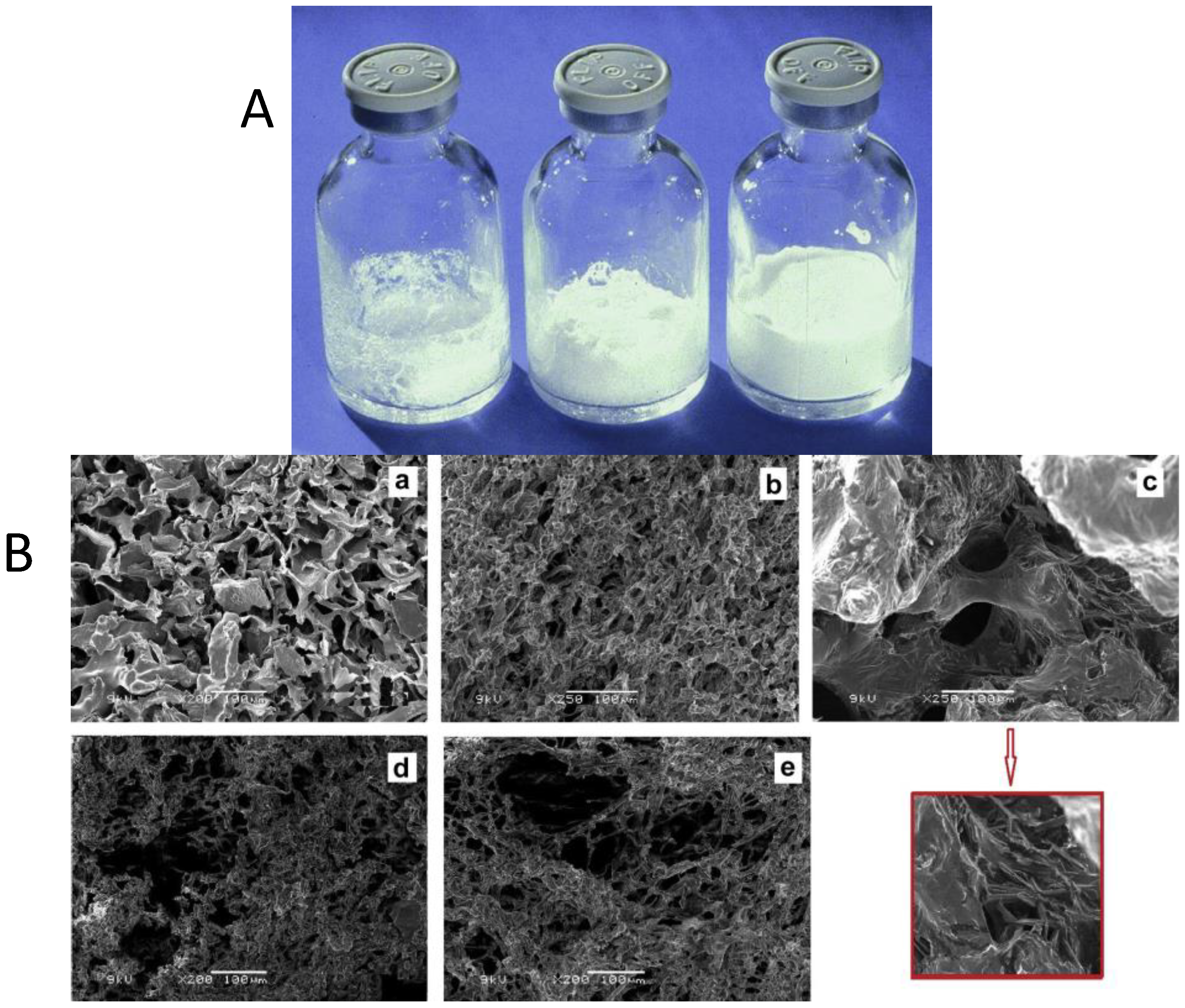 Pharmaceutics 10 00139 g004