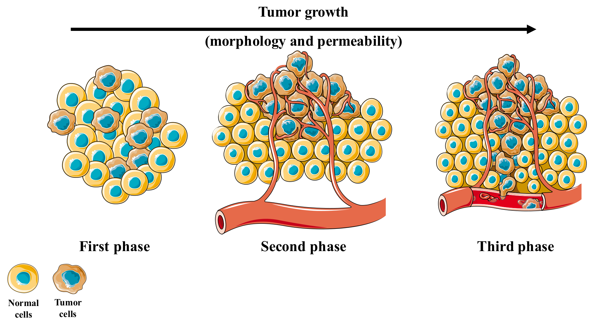Pharmaceutics 10 00181 g003 Pharmaceutics 10 00181 g003