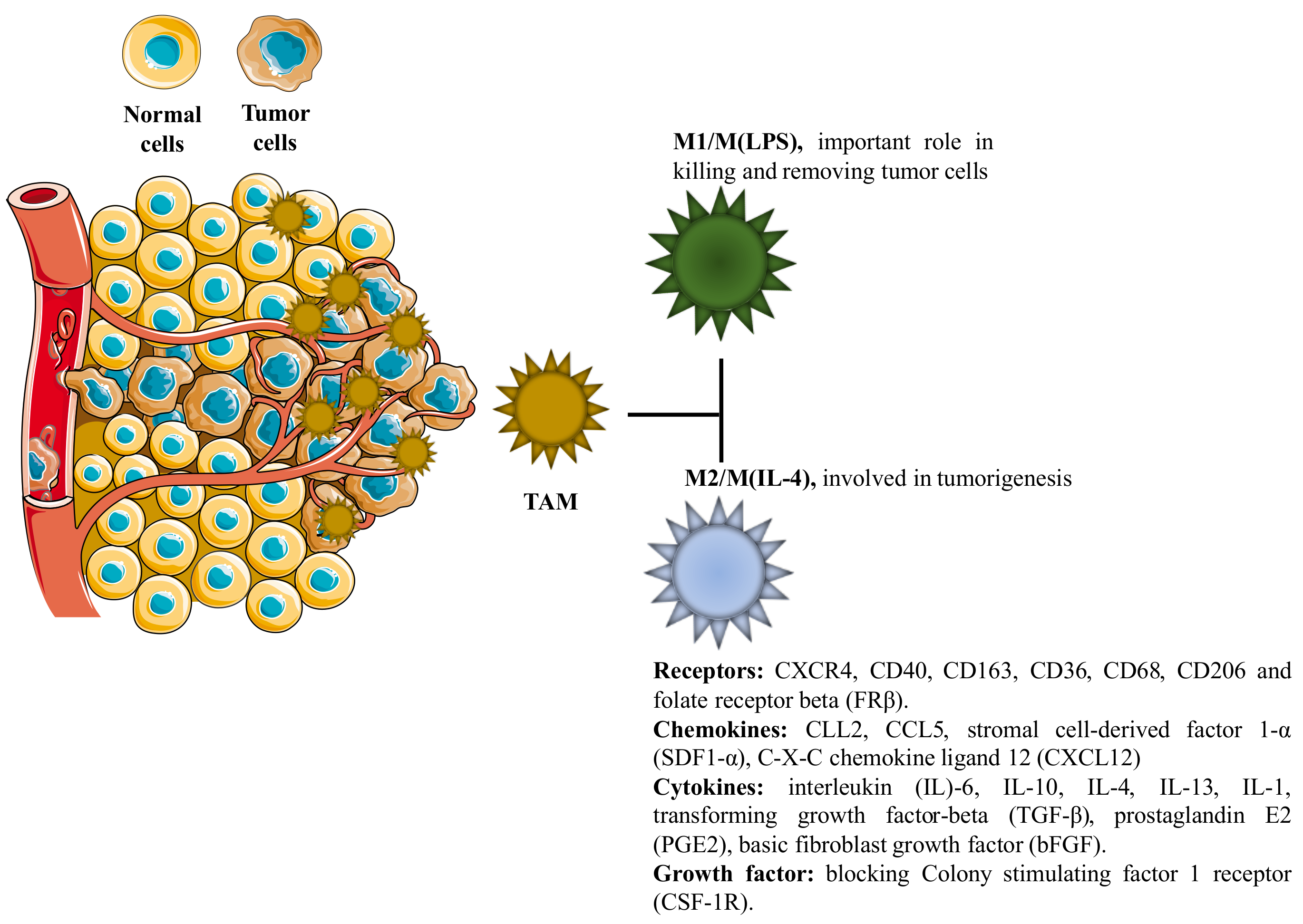 Pharmaceutics 10 00181 g004 Pharmaceutics 10 00181 g004