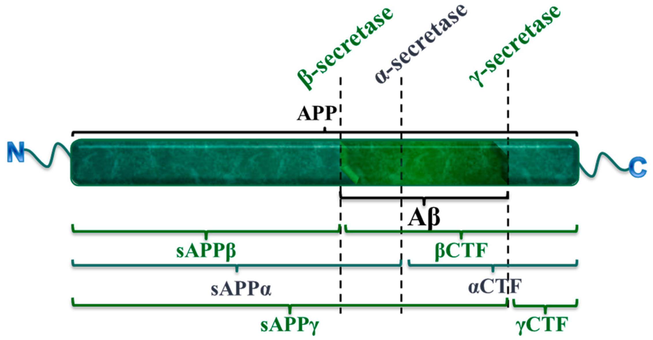 Pharmaceutics 10 00190 g002 Pharmaceutics 10 00190 g002