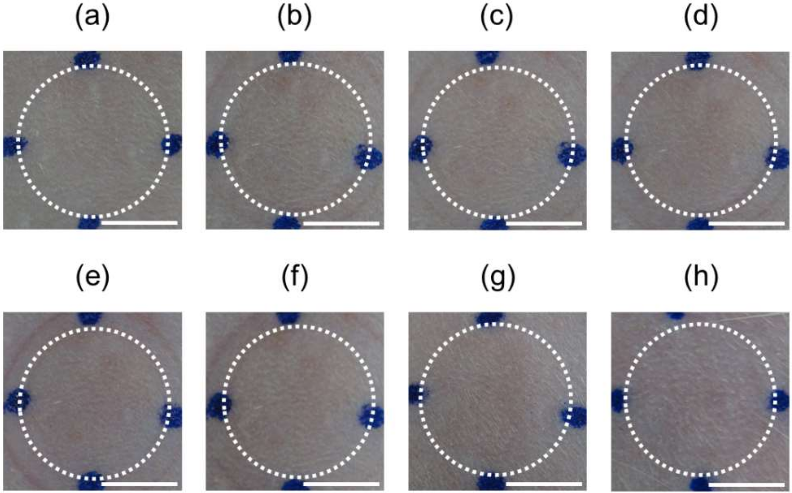 Pharmaceutics 10 00215 g007