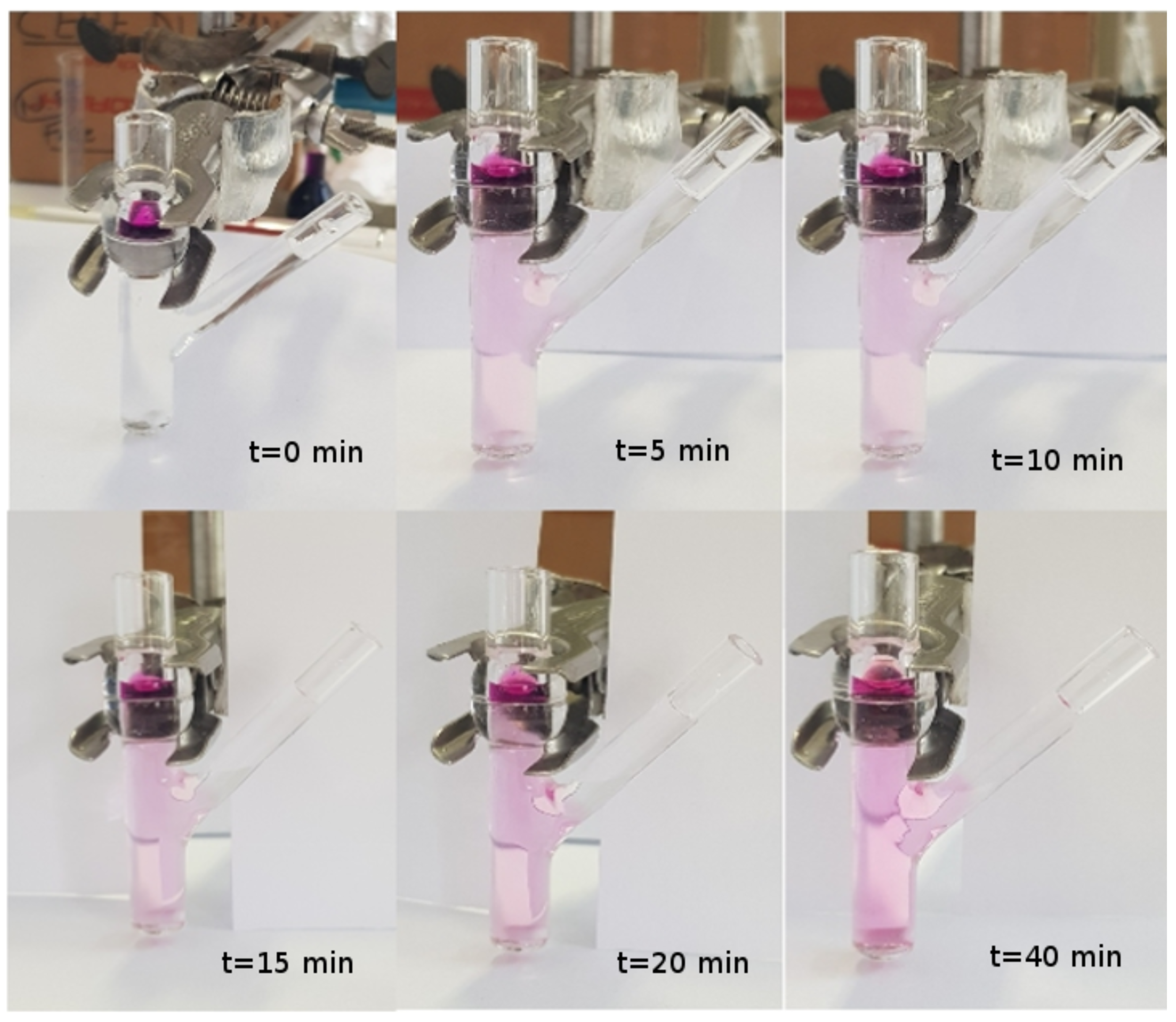 Pharmaceutics 10 00222 g003 Pharmaceutics 10 00222 g003
