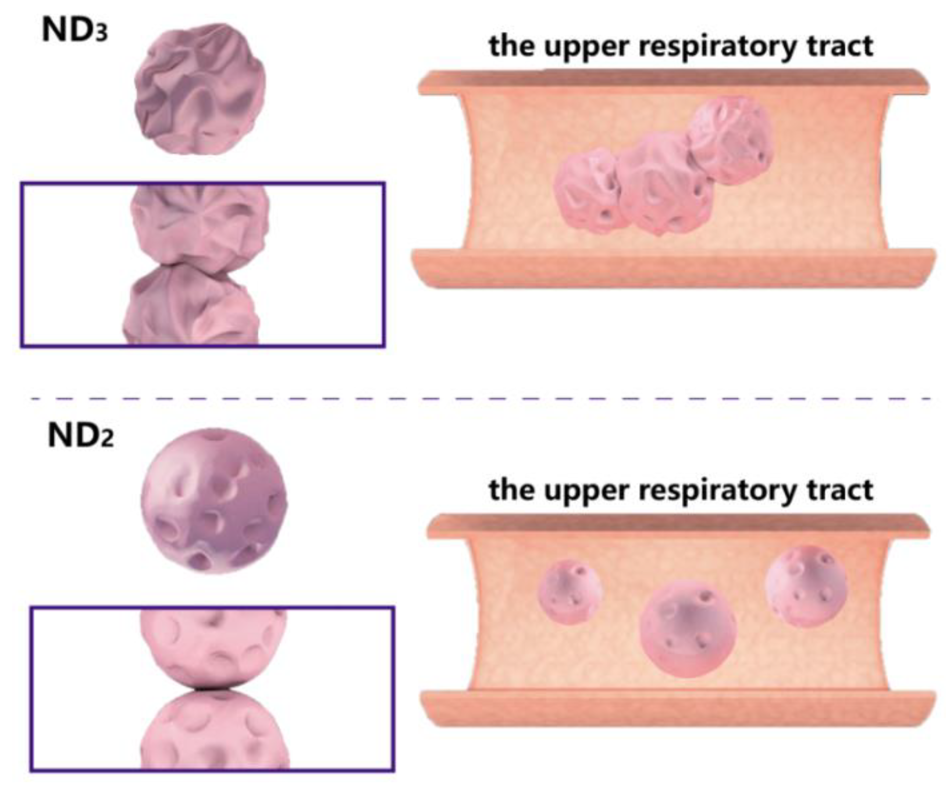 Pharmaceutics 10 00252 g008 Pharmaceutics 10 00252 g008