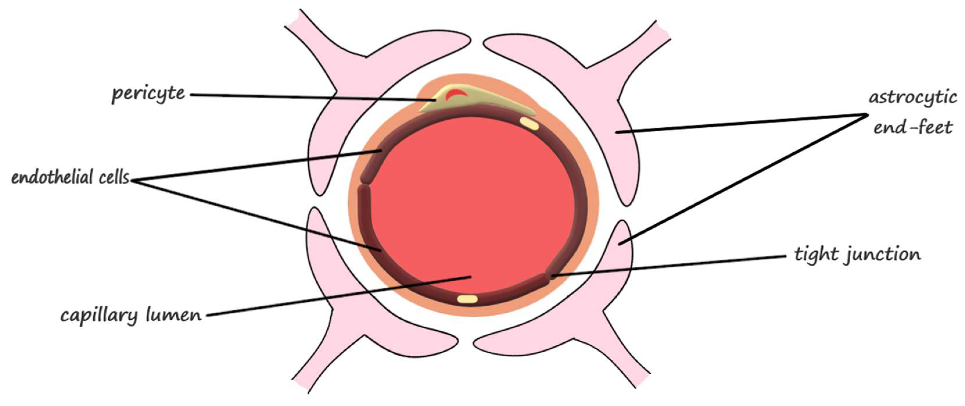 Pharmaceutics 10 00269 g001