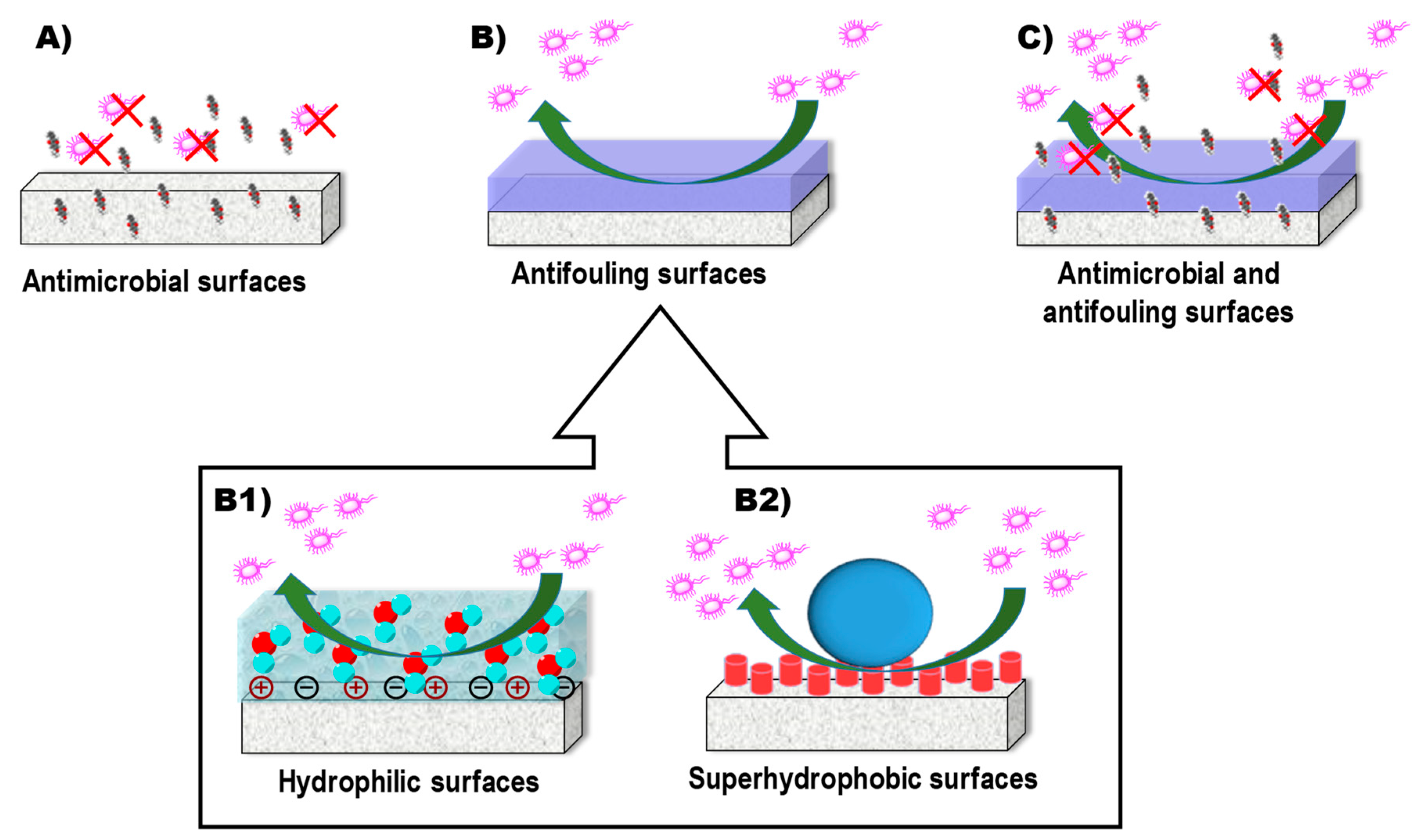 Pharmaceutics 10 00279 g007