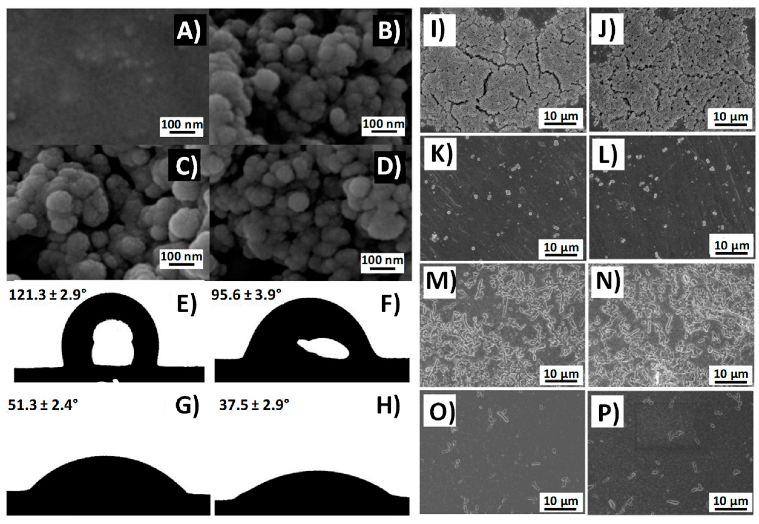 Pharmaceutics 10 00279 g008