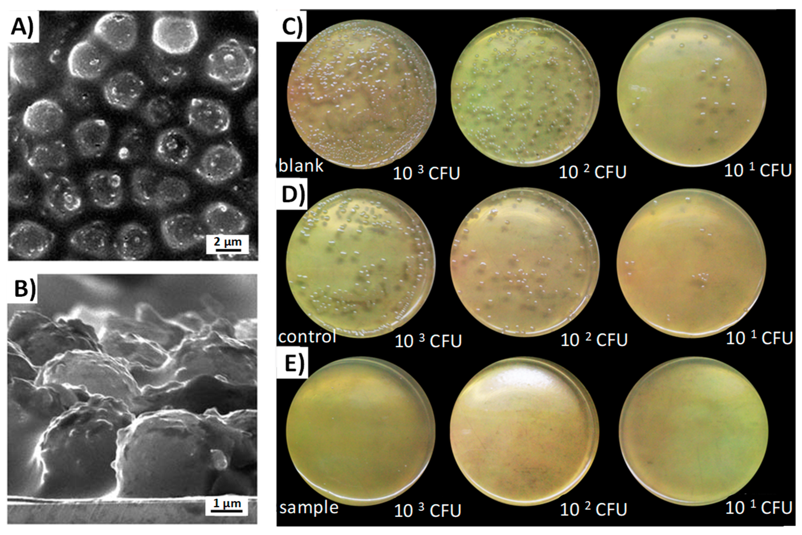 Pharmaceutics 10 00279 g009