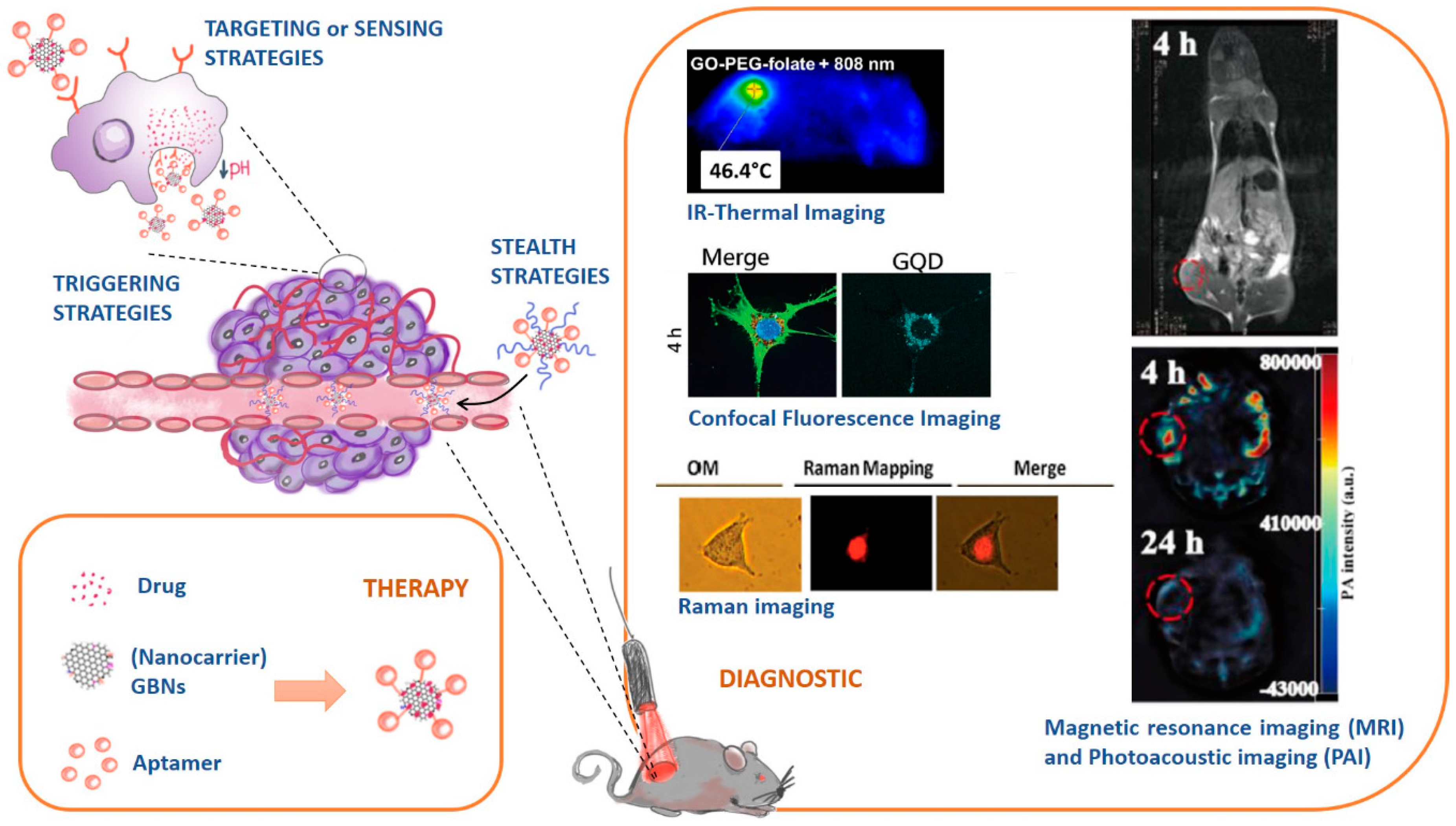 Pharmaceutics 10 00282 g001