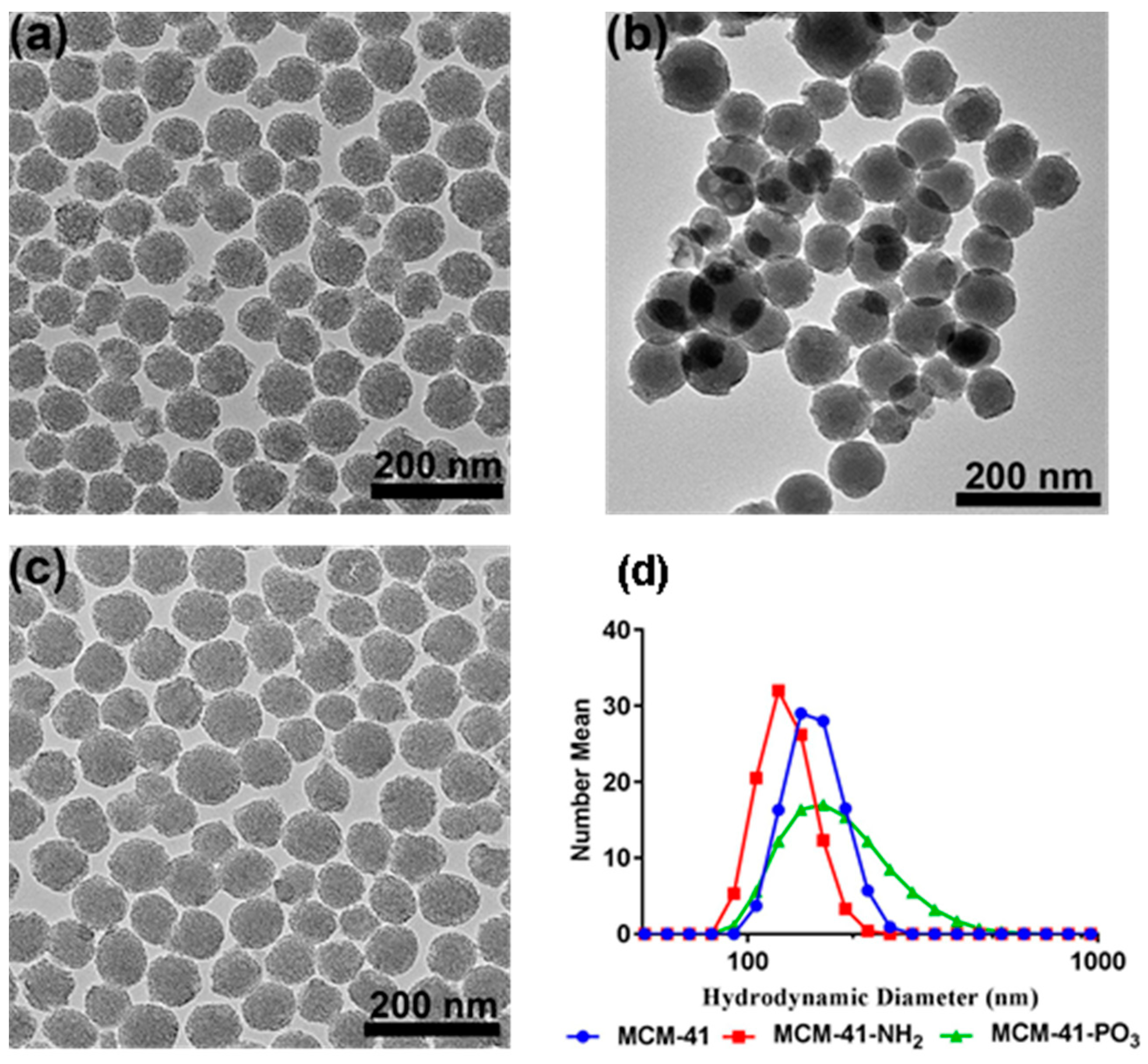 Pharmaceutics Free Full Text Enhanced Solubility Permeability