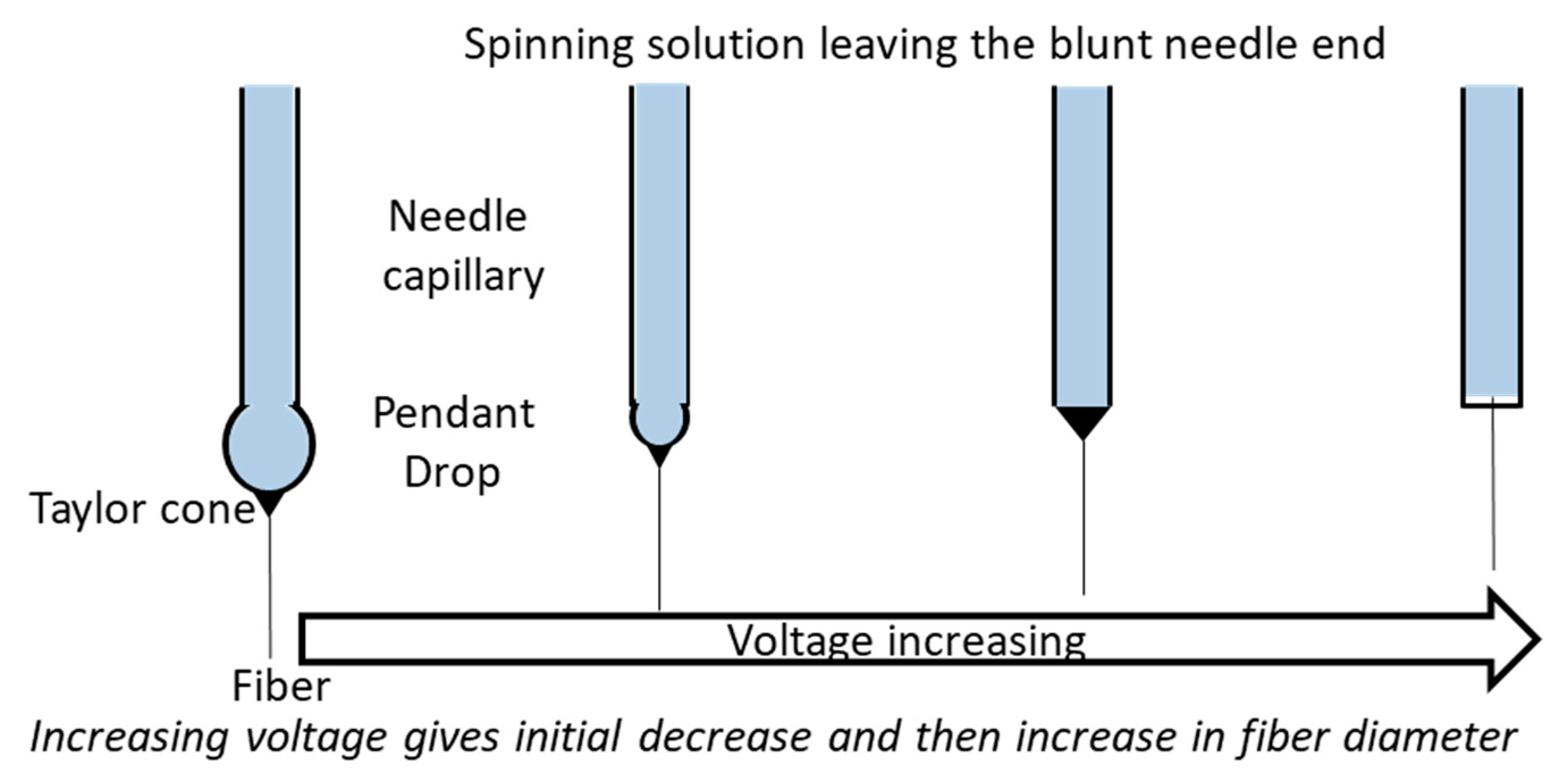 Pharmaceutics 11 00005 g002 Pharmaceutics 11 00005 g002