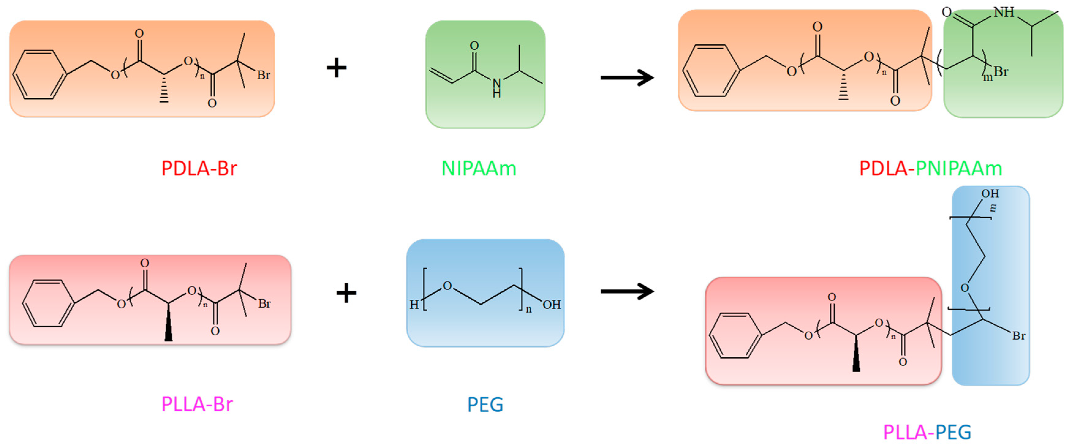 Pharmaceutics 11 00051 g001