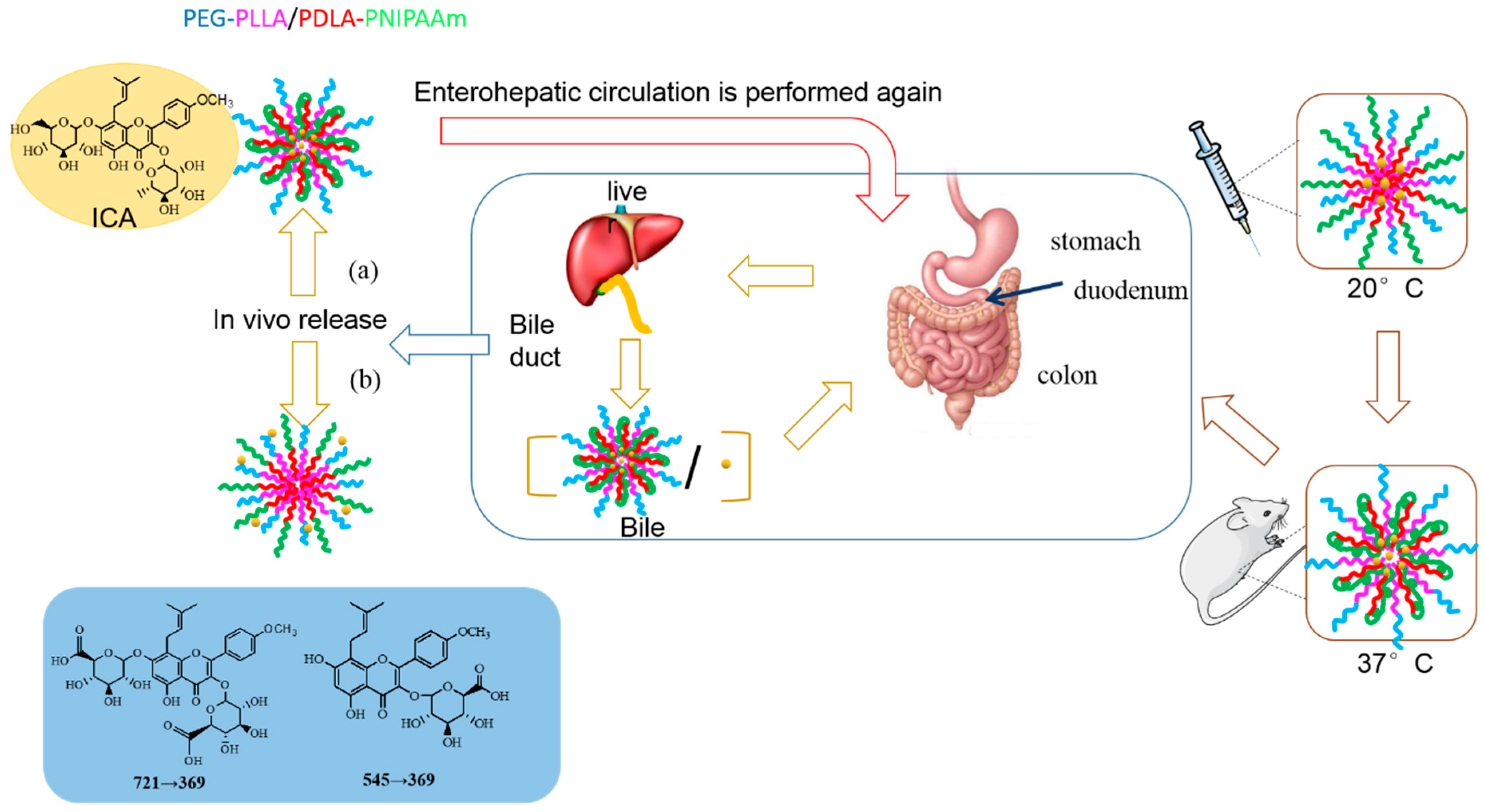 Pharmaceutics Free Full Text Improved Pharmacokinetics