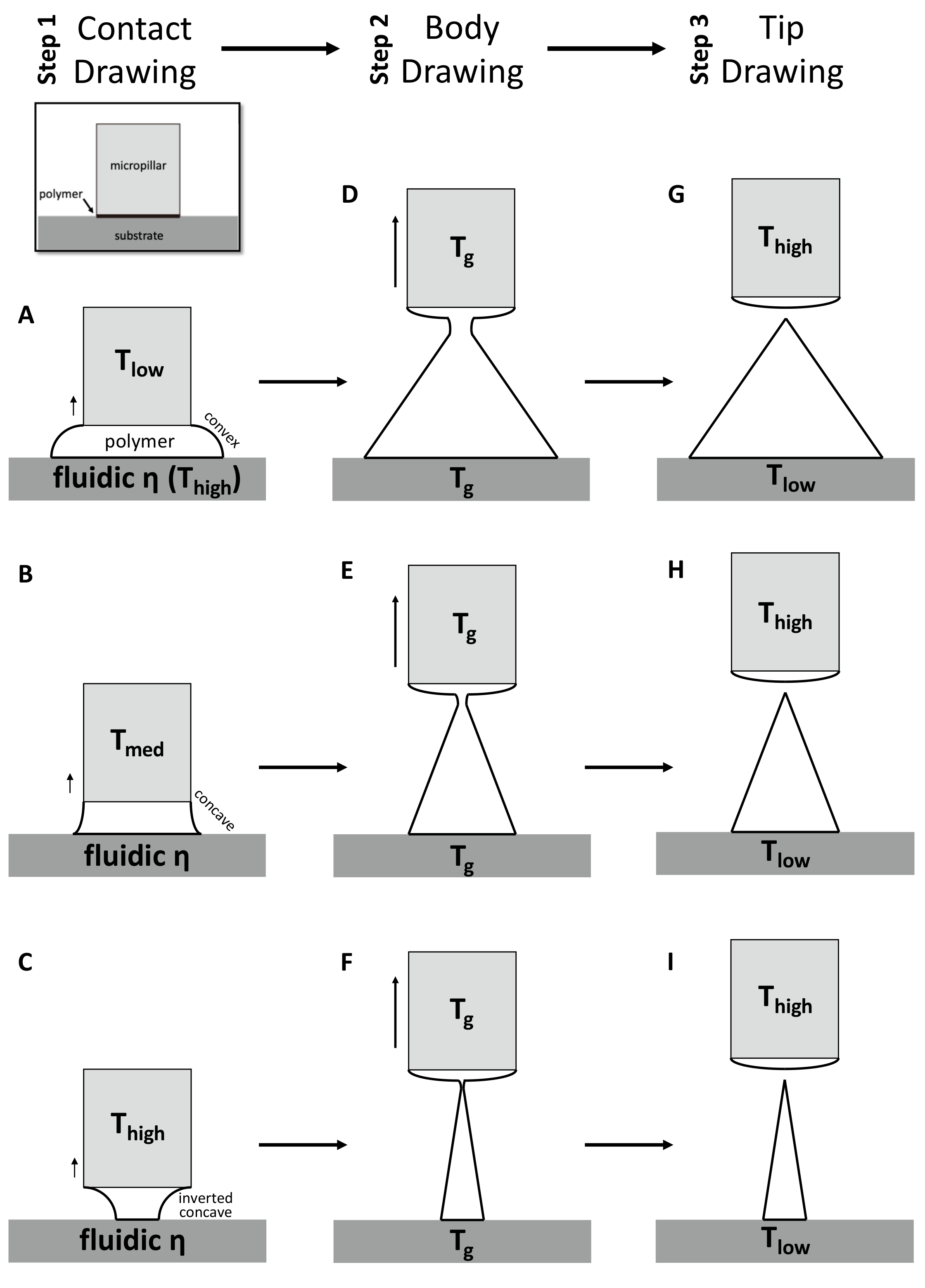 Pharmaceutics 11 00100 g002 Pharmaceutics 11 00100 g002